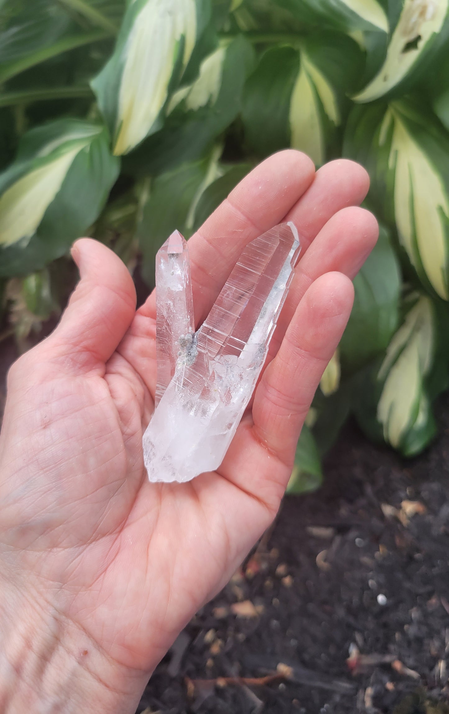 Quartz (Lemurian X 2) from Colombia
