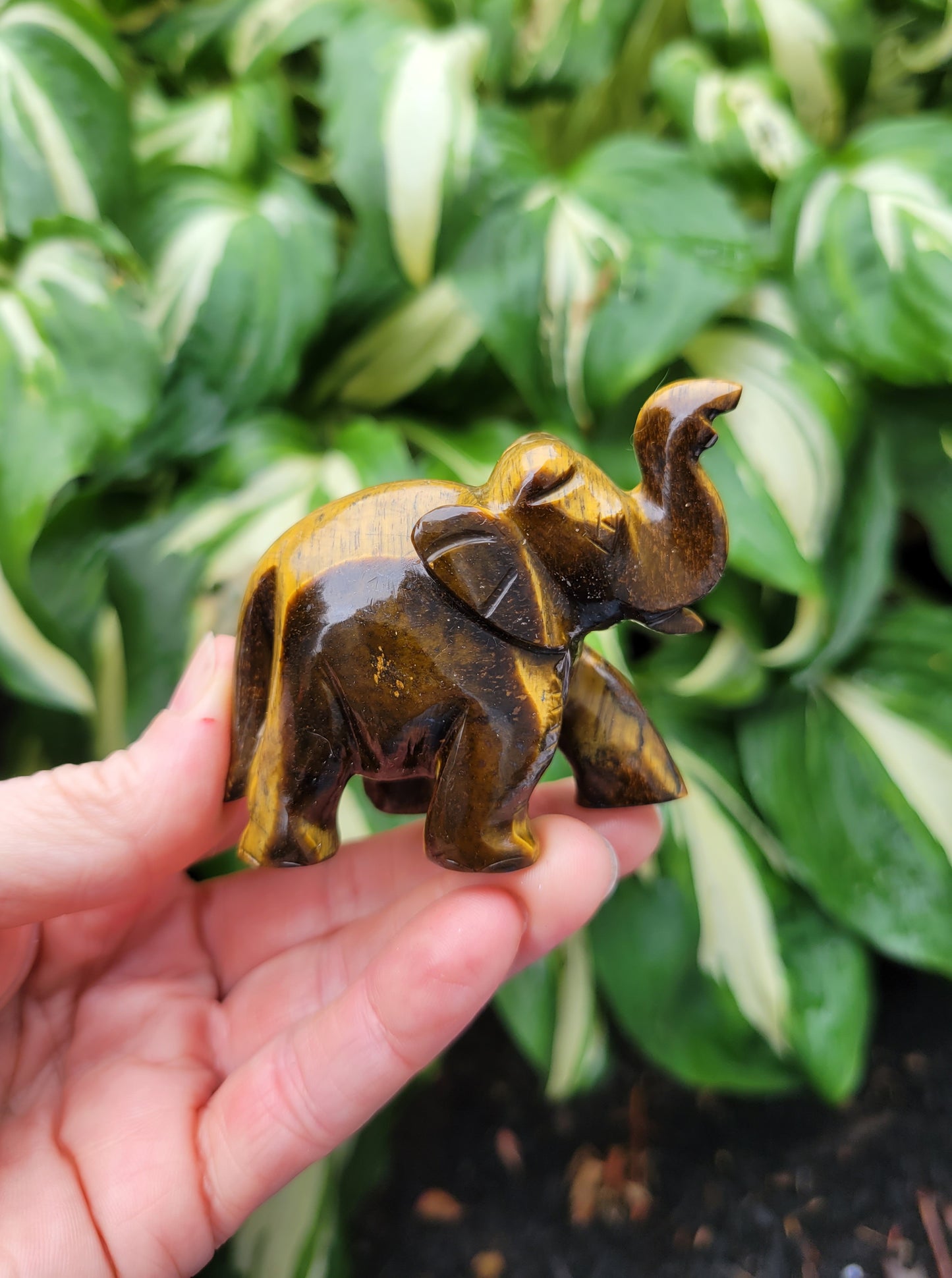 Tiger's Eye Elephant, Carved in India