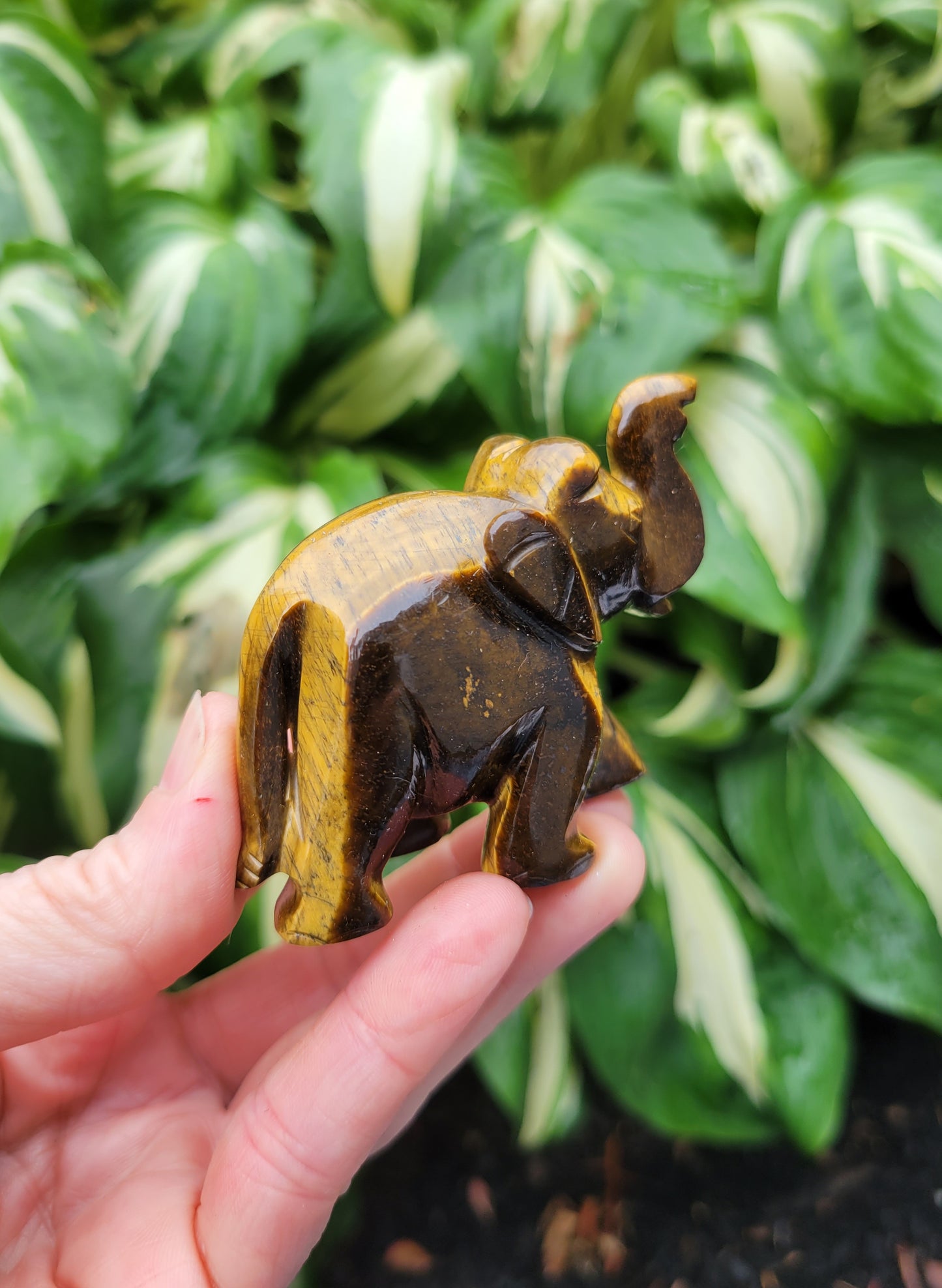 Tiger's Eye Elephant, Carved in India