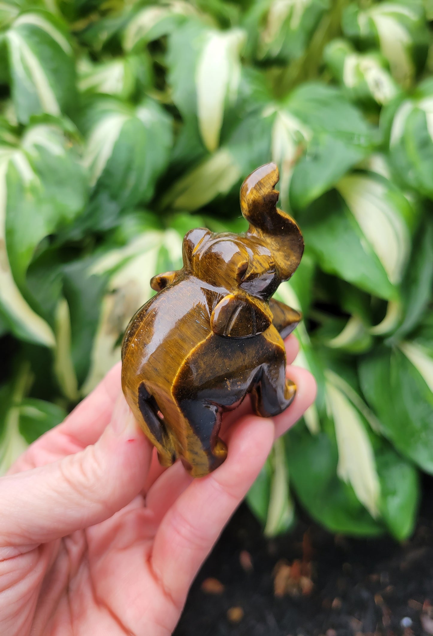Tiger's Eye Elephant, Carved in India