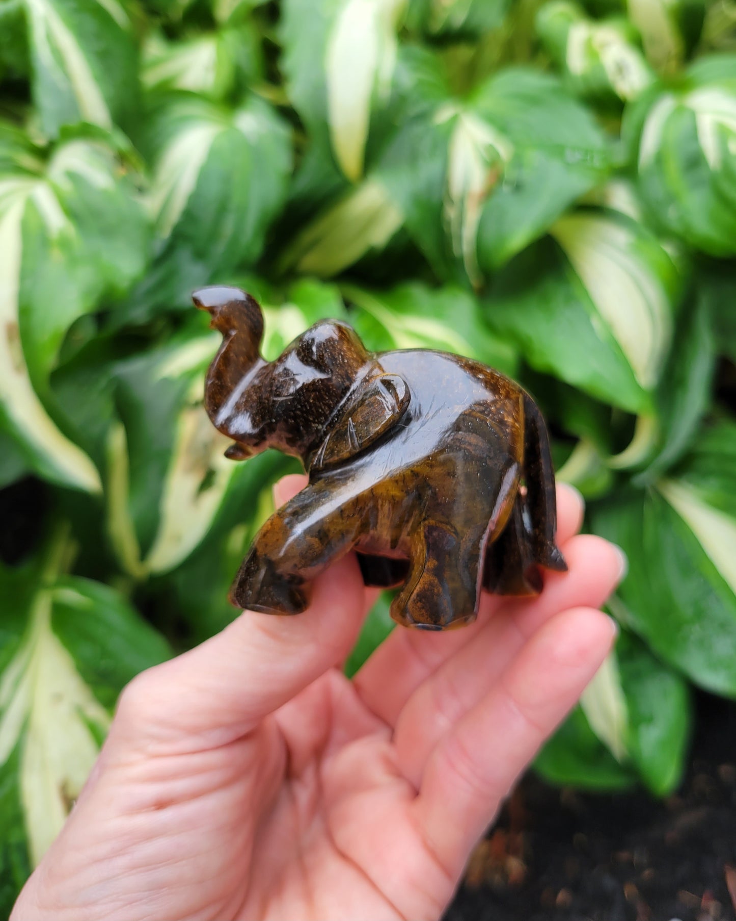 Tiger's Eye Elephant, Carved in India