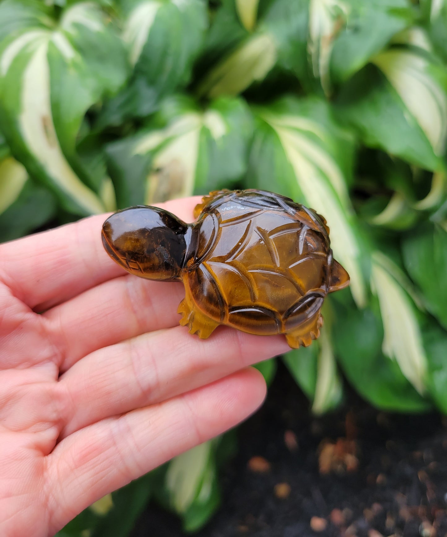 Tiger's Eye Turtle, Carved in India