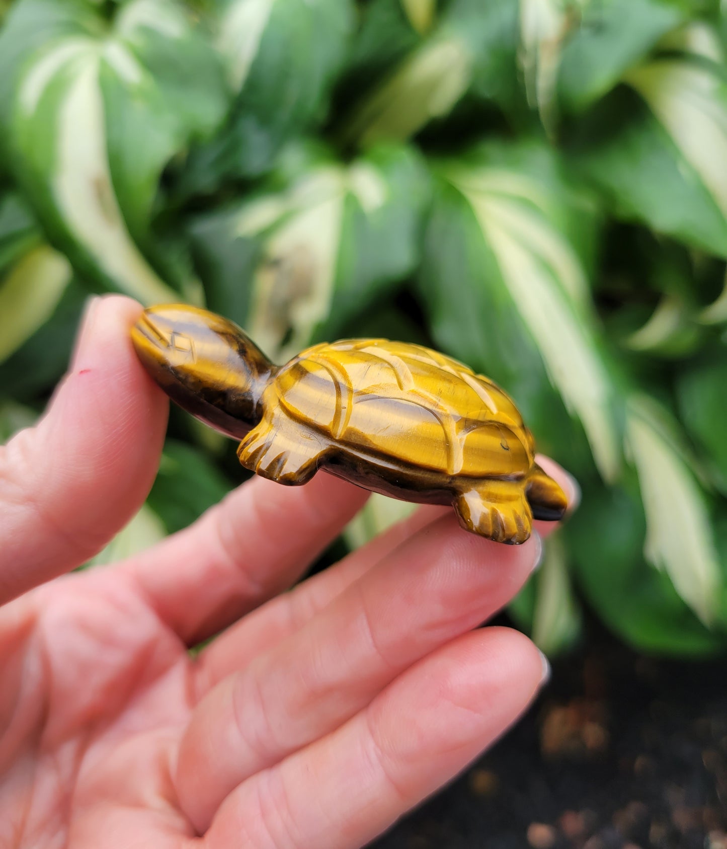 Tiger's Eye Turtle, Carved in India