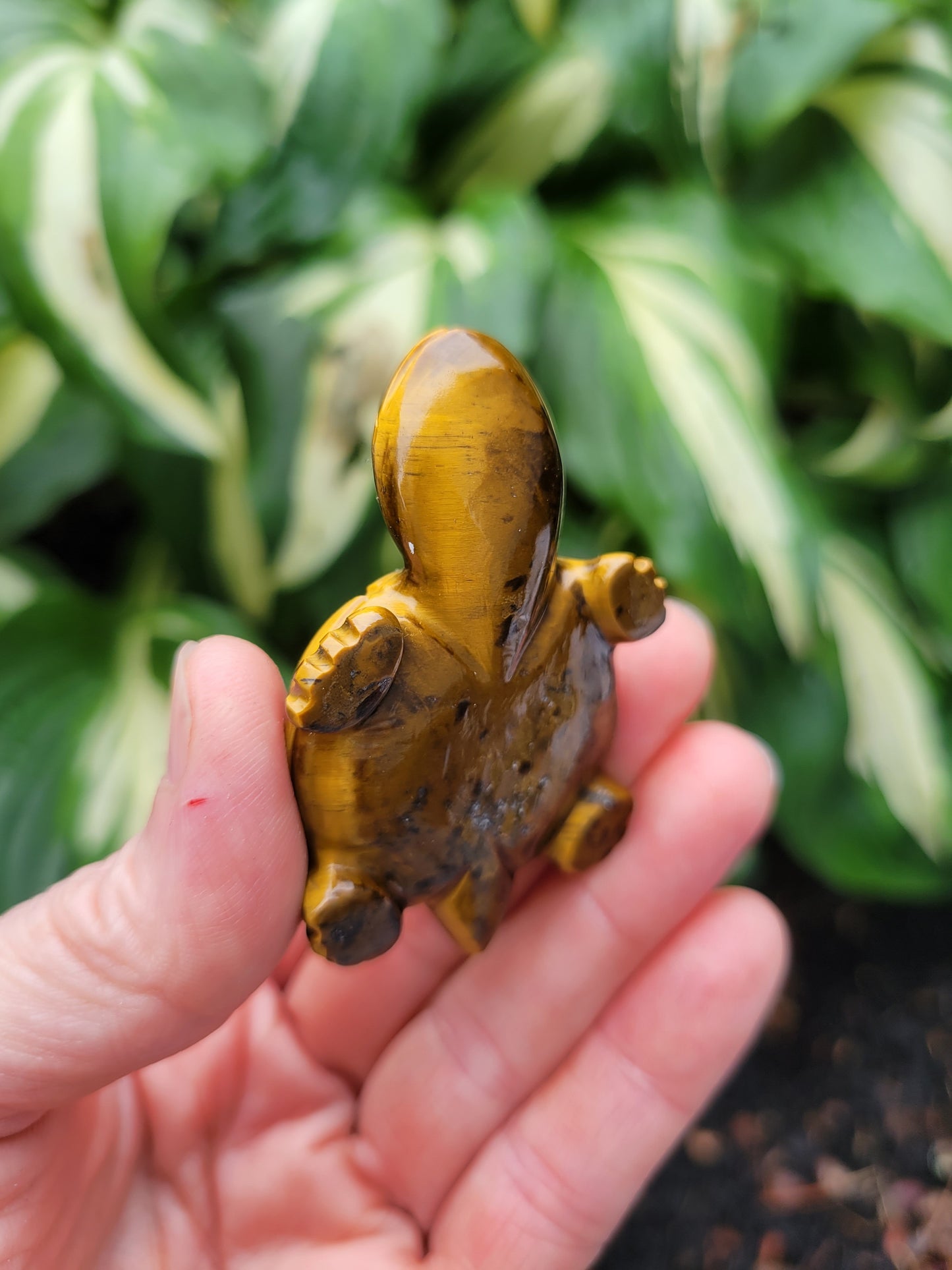 Tiger's Eye Turtle, Carved in India