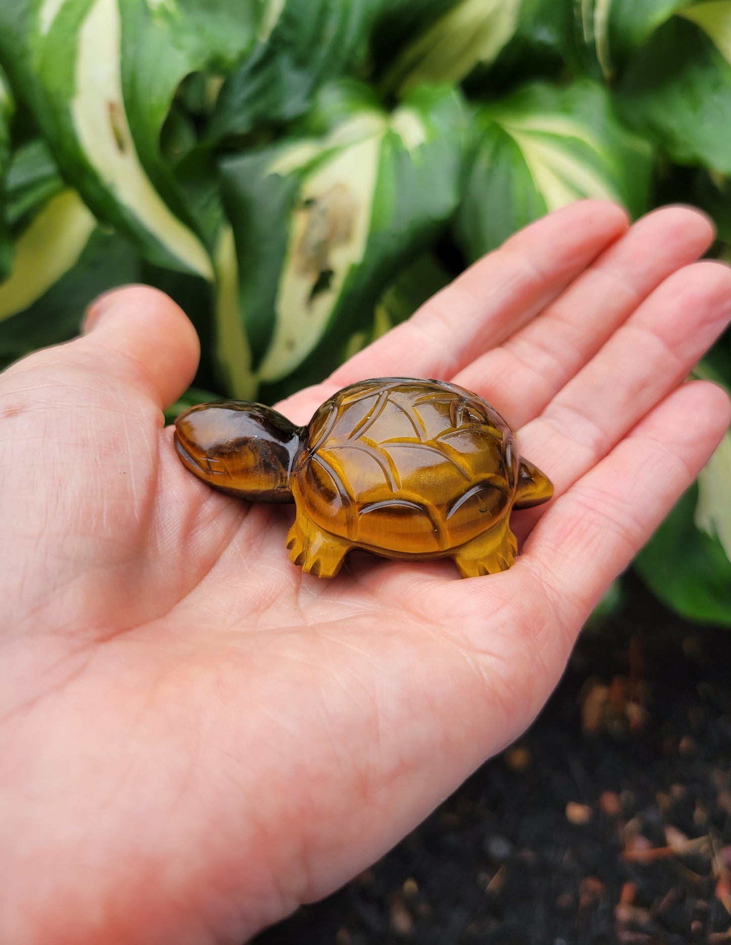 Tiger's Eye Turtle, Carved in India