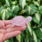 Rose Quartz Turtle from India