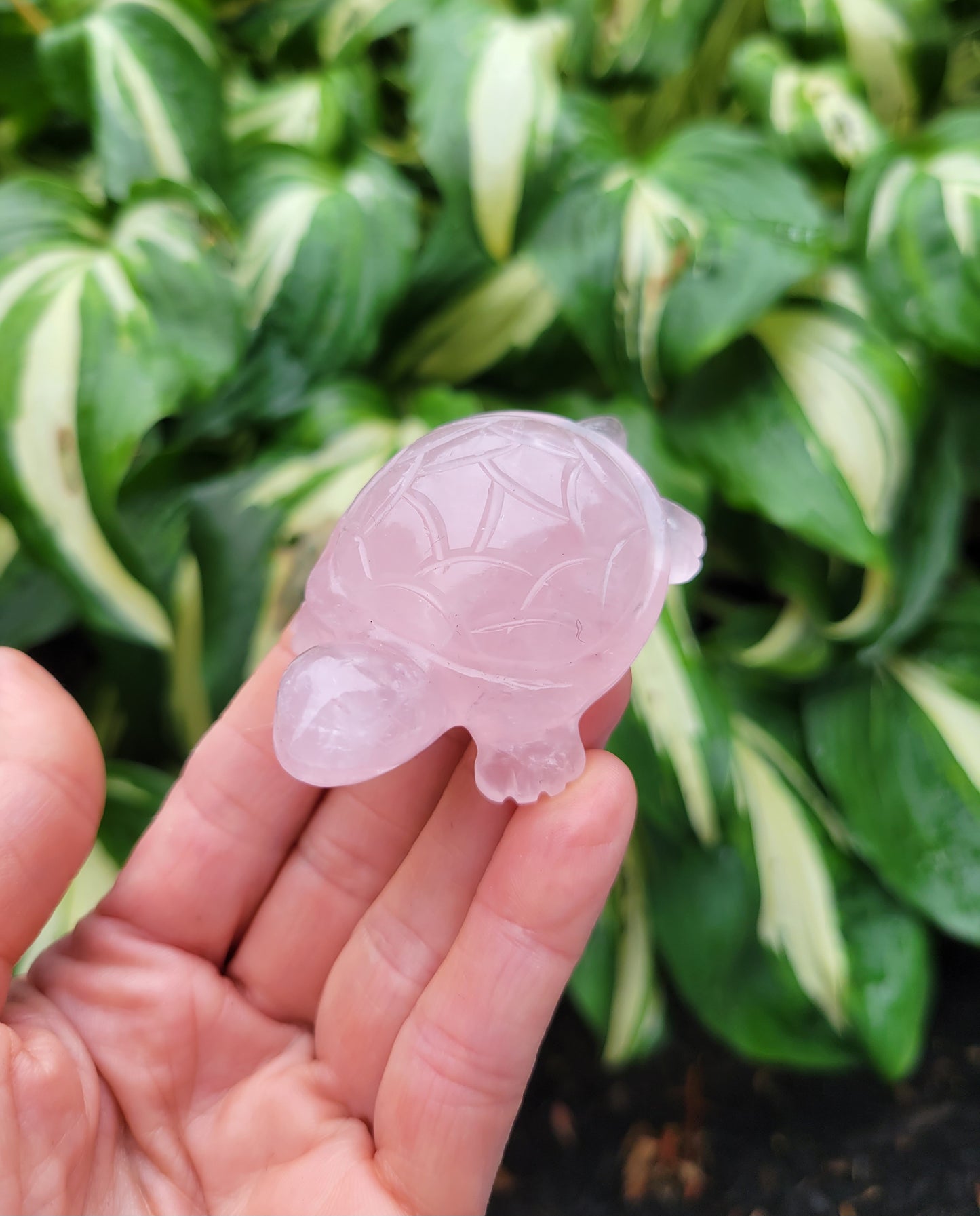 Rose Quartz Turtle, Carved in India