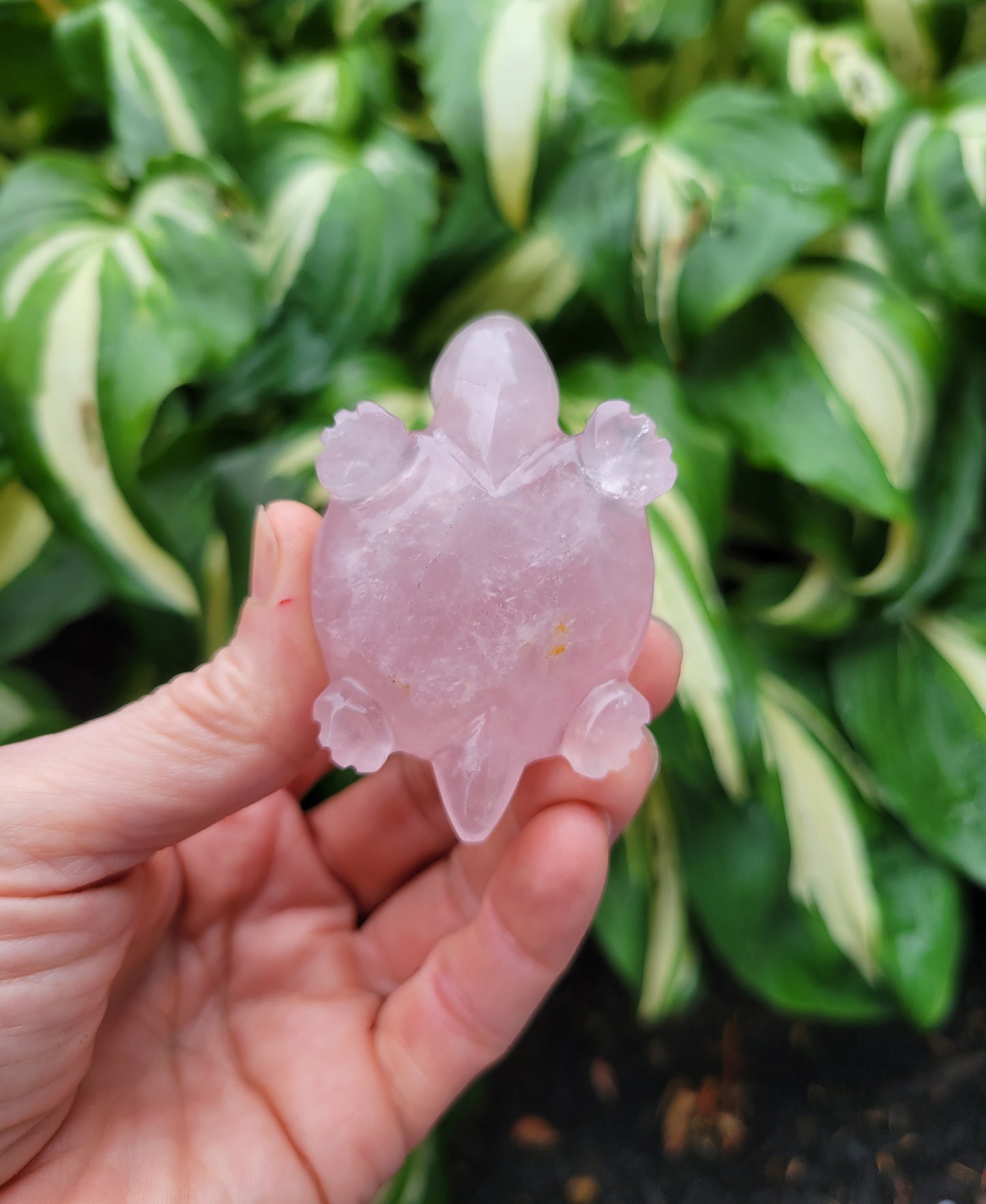 Rose Quartz Turtle, Carved in India