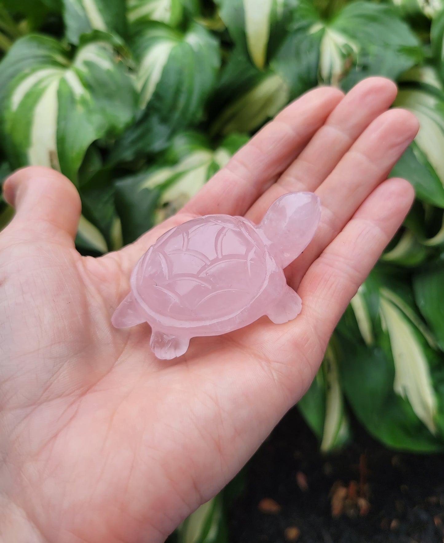 Rose Quartz Turtle, Carved in India