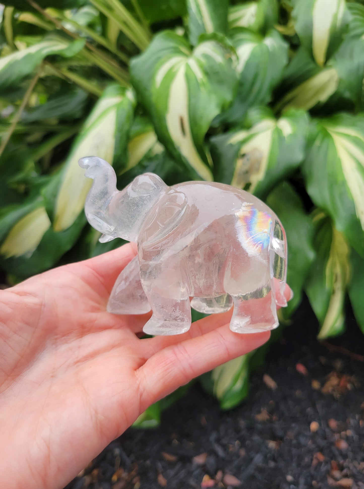 Himalayan Quartz Elephant from India