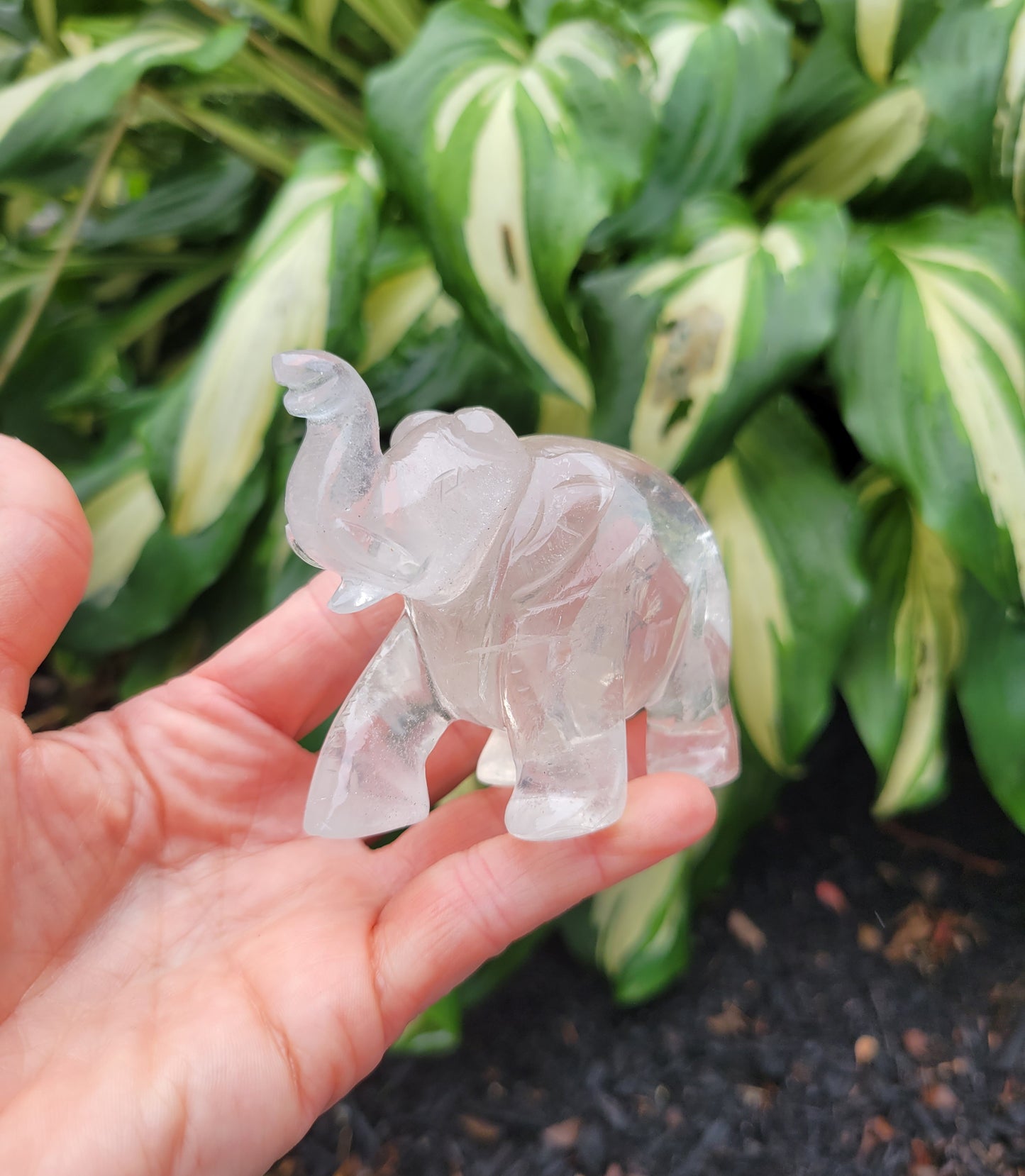 Himalayan Quartz Elephant from India