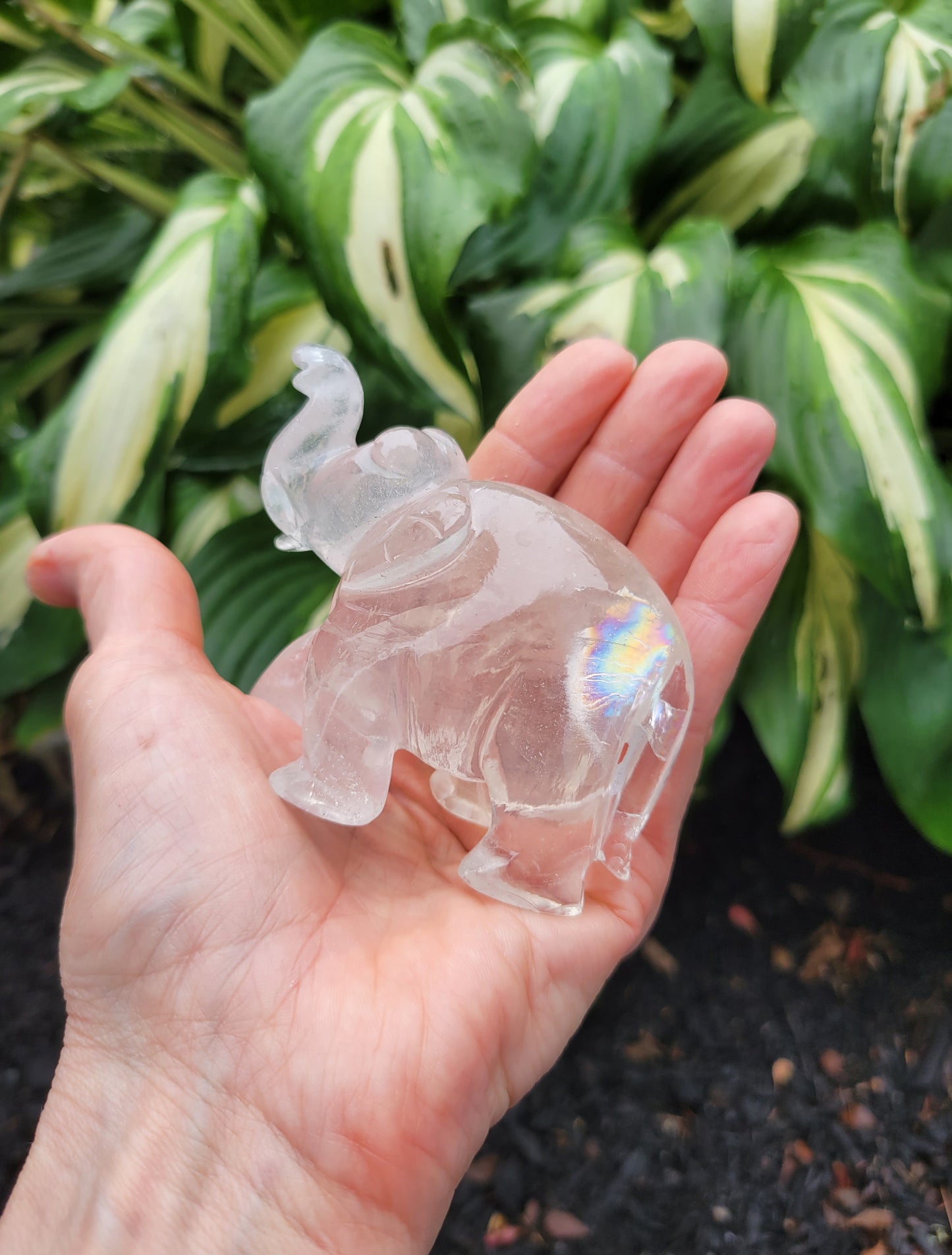 Himalayan Quartz Elephant from India