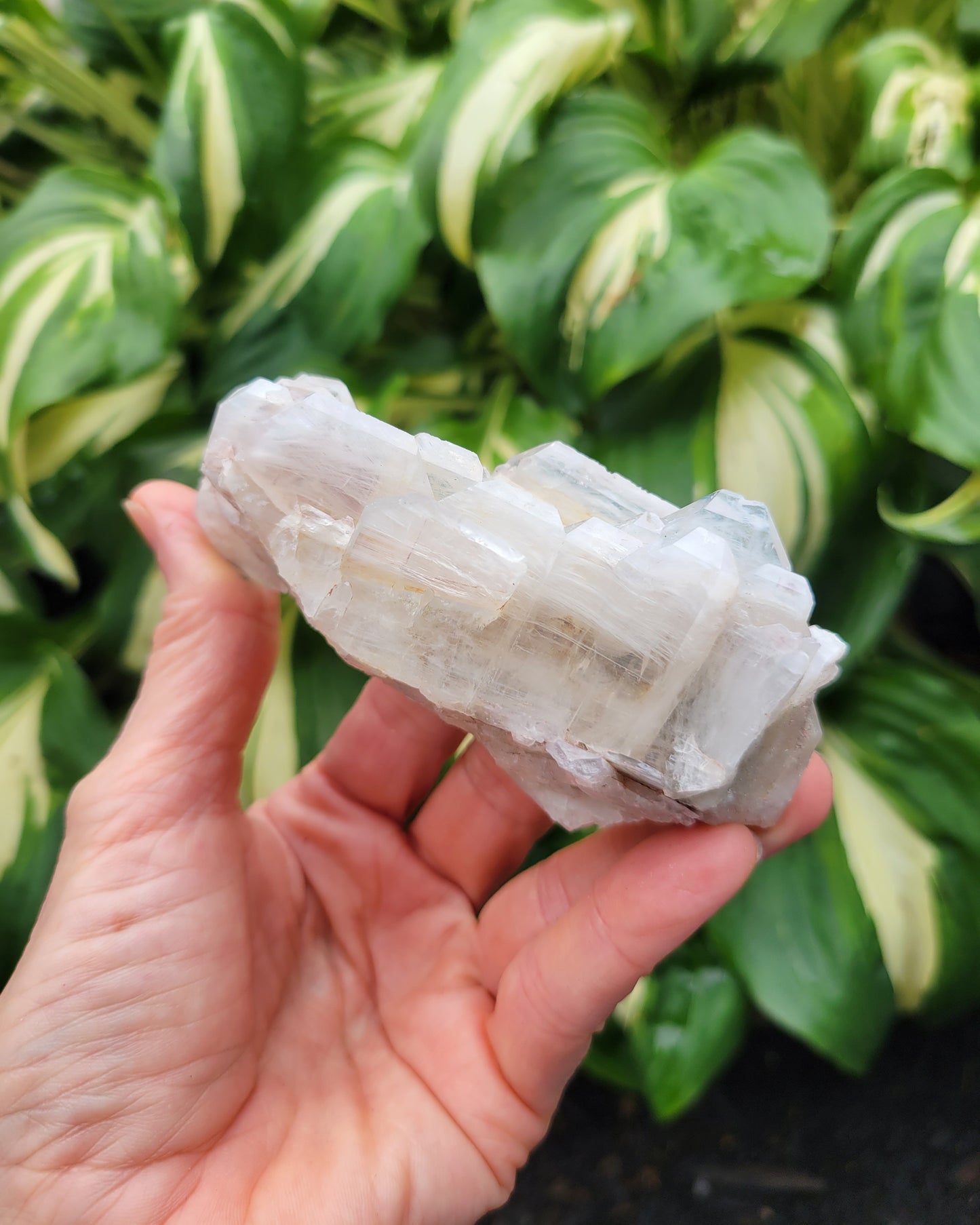 Quartz with Lithium, Faden Growth Habit from Colombia
