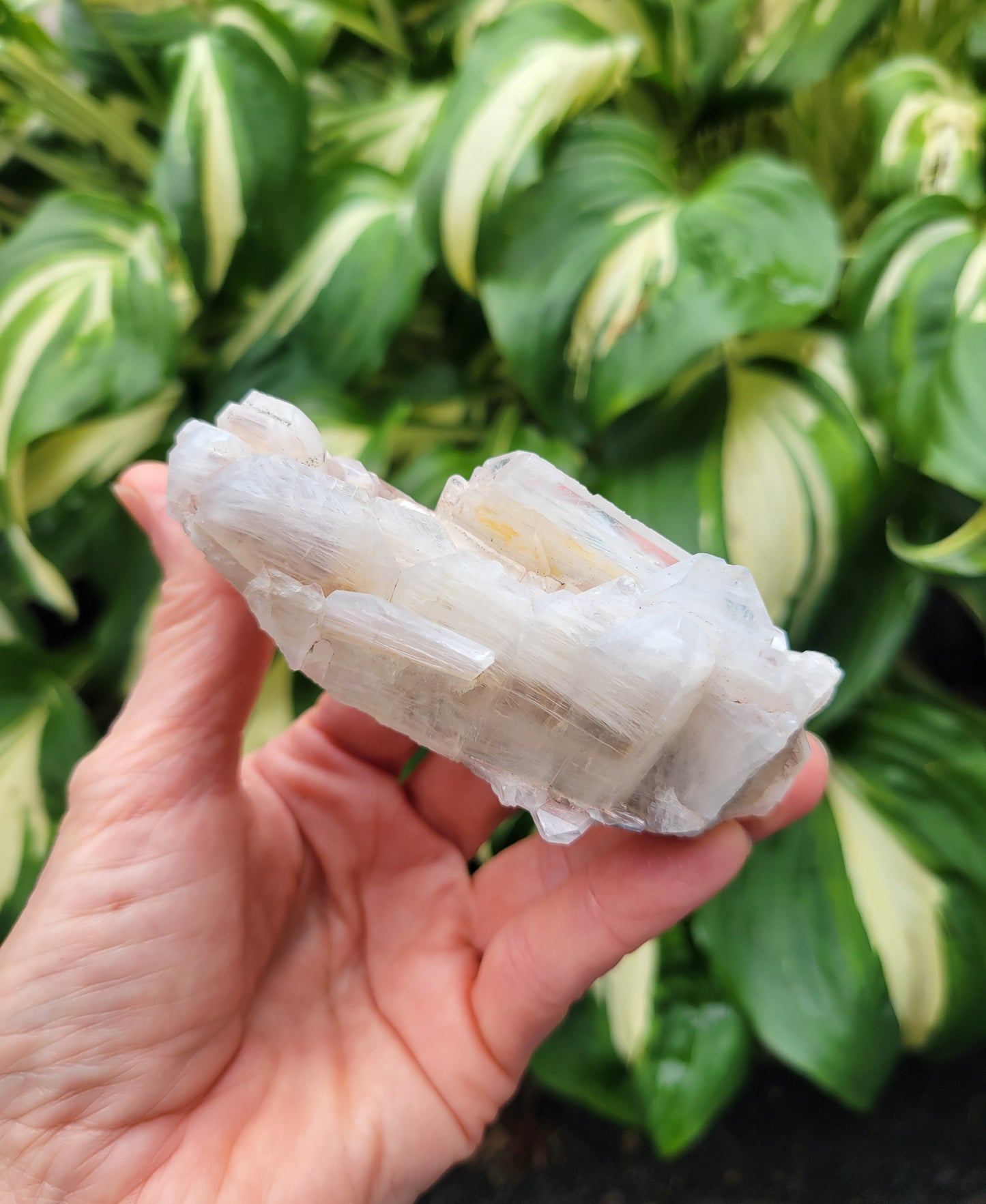 Quartz with Lithium, Faden Growth Habit from Colombia