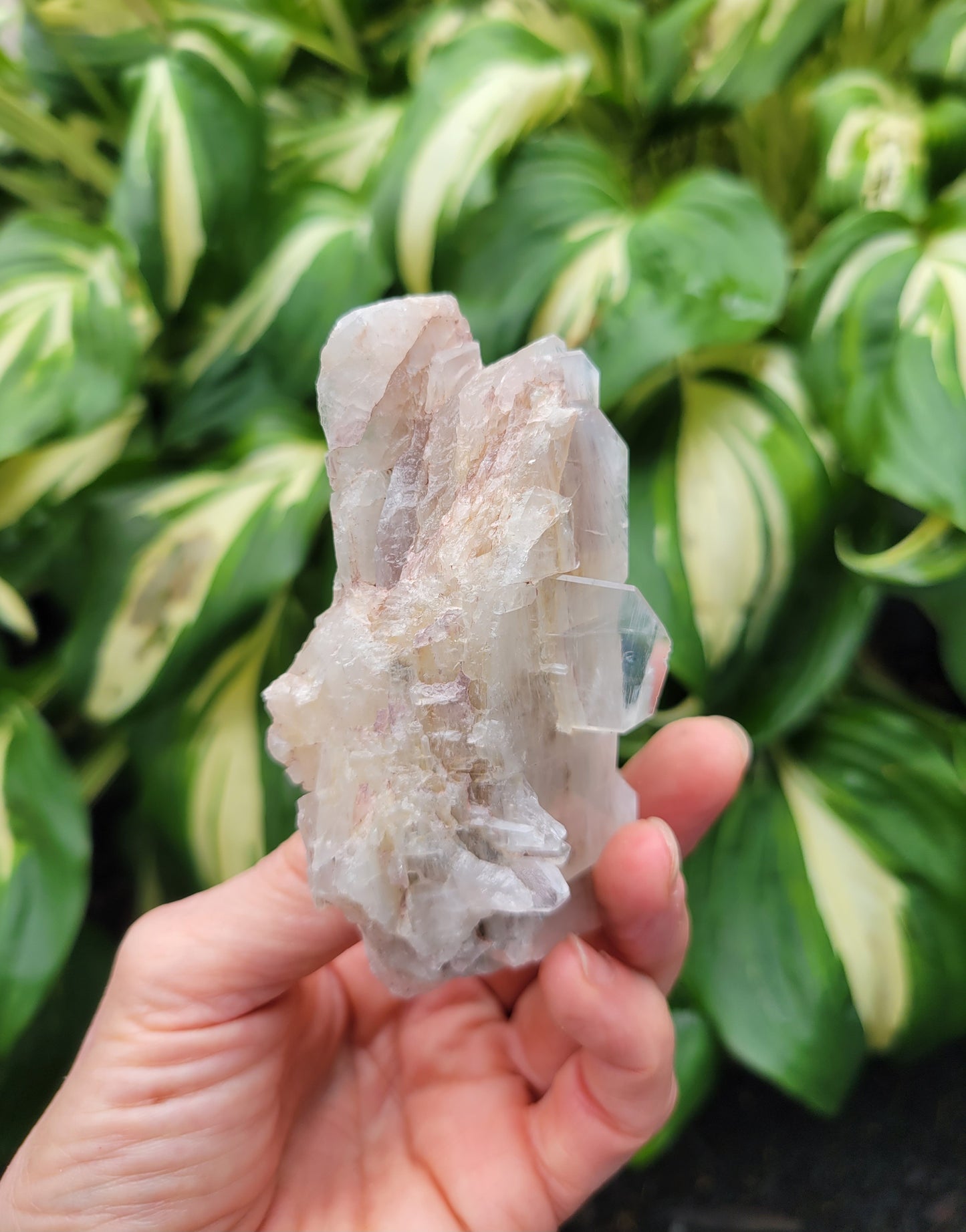 Quartz with Lithium, Faden Growth Habit from Colombia