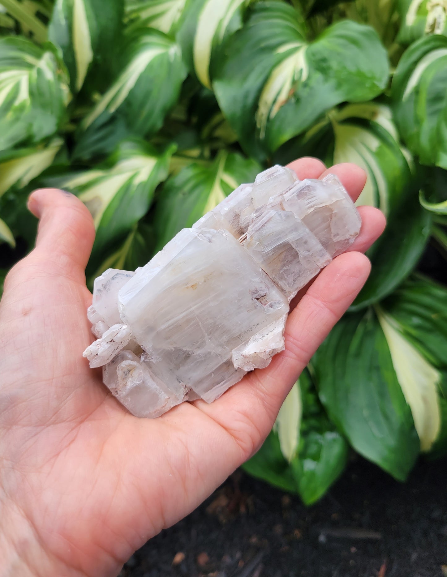 Quartz with Lithium, Faden Growth Habit from Colombia