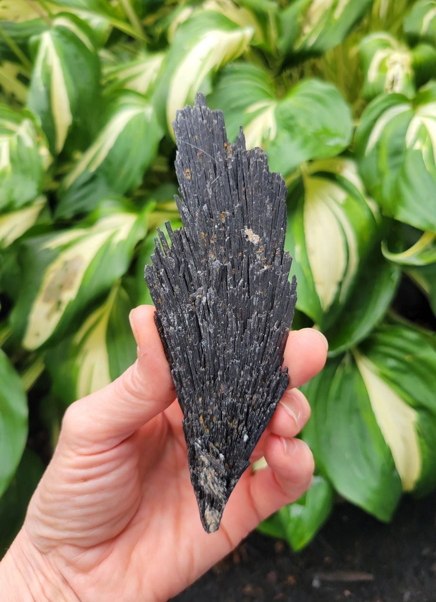 Black Kyanite from Brazil