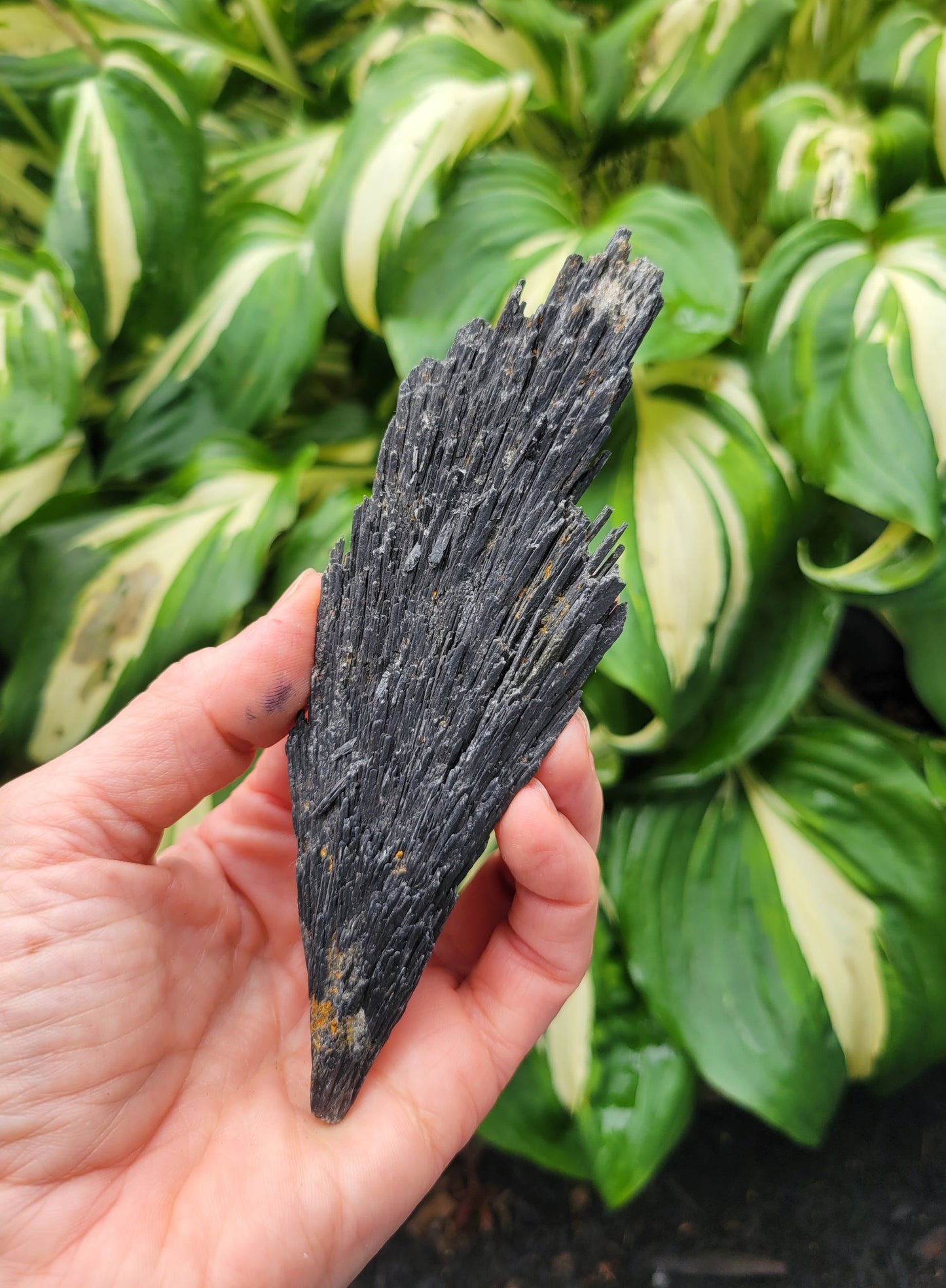 Black Kyanite from Brazil