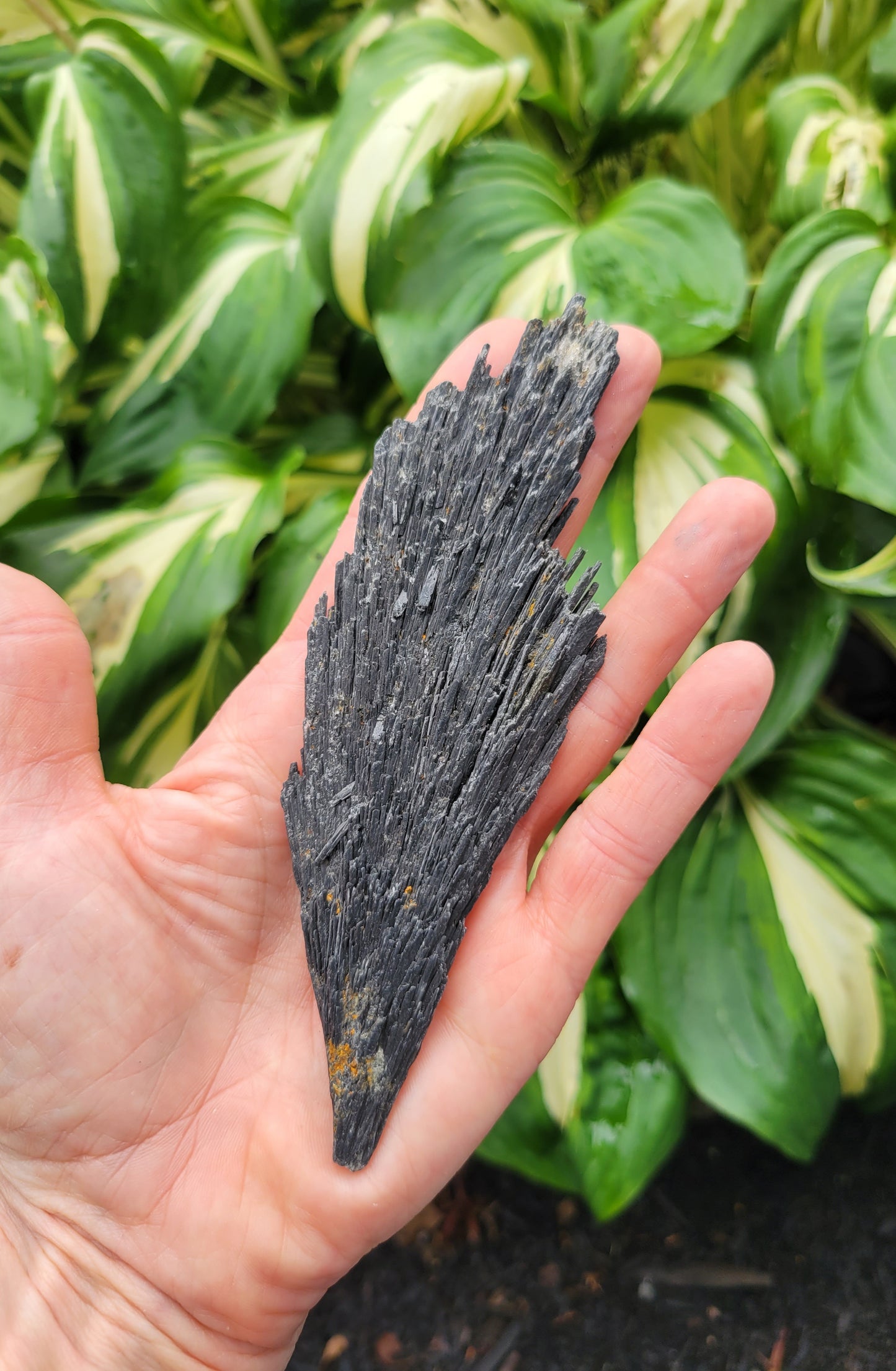 Black Kyanite from Brazil