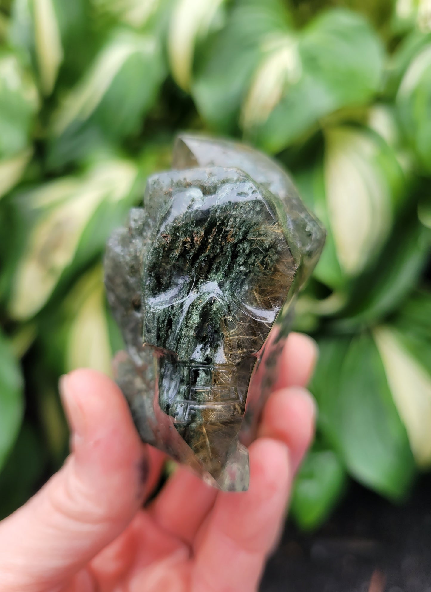 Himalayan Rutilated Quartz Skull from India