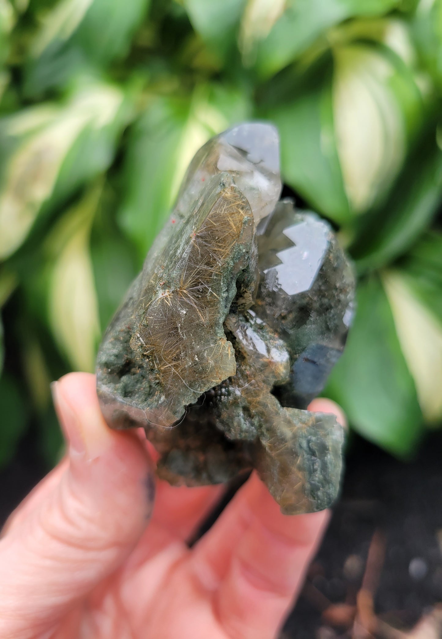 Himalayan Rutilated Quartz Skull from India