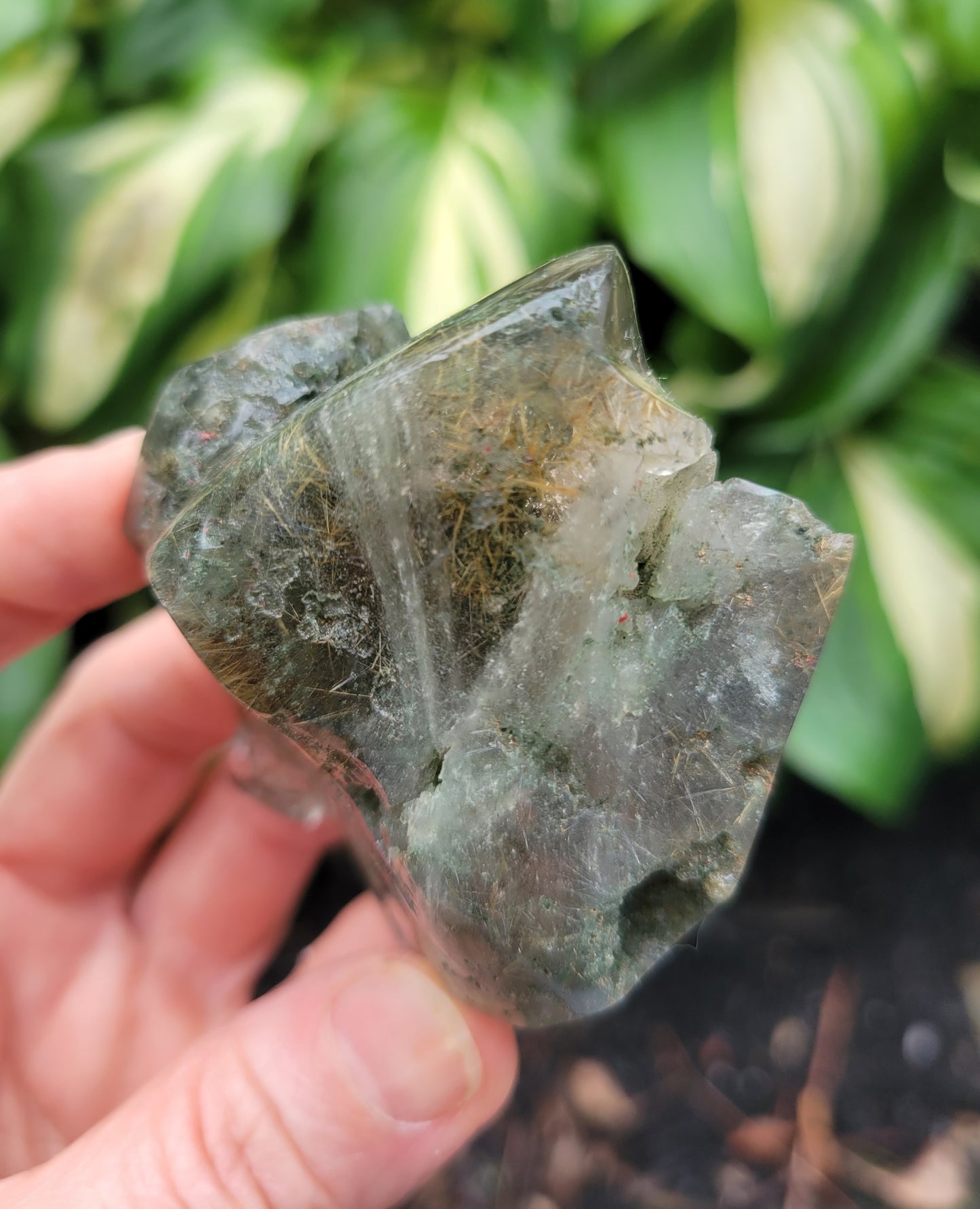 Himalayan Rutilated Quartz Skull from India