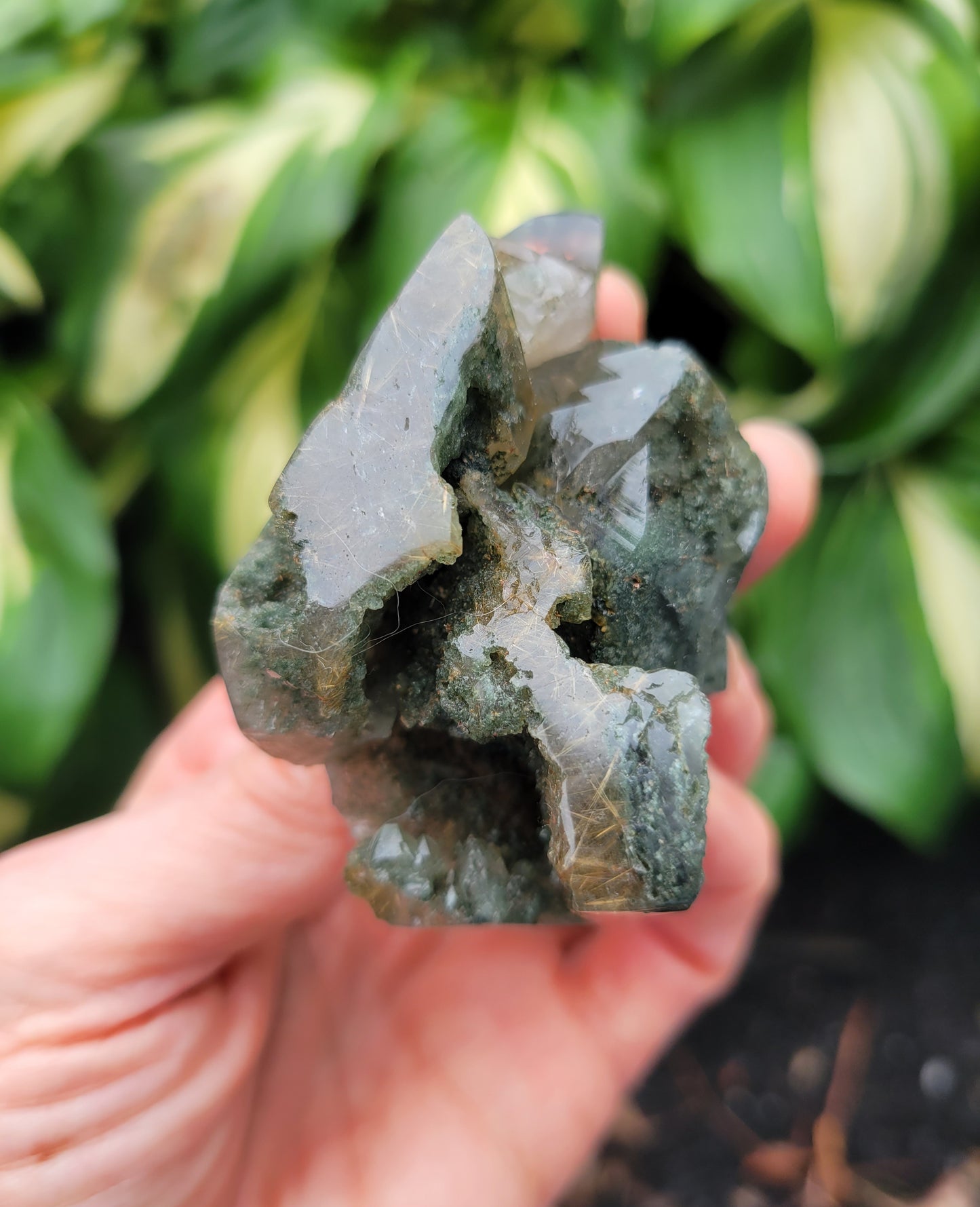 Himalayan Rutilated Quartz Skull from India