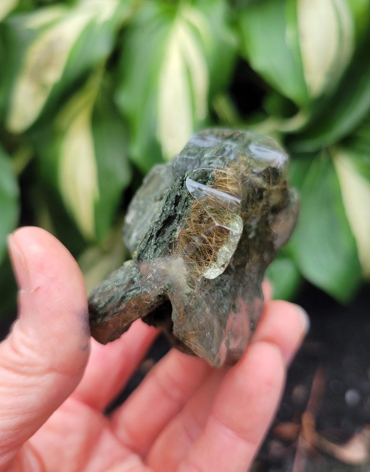 Himalayan Rutilated Quartz Skull from India