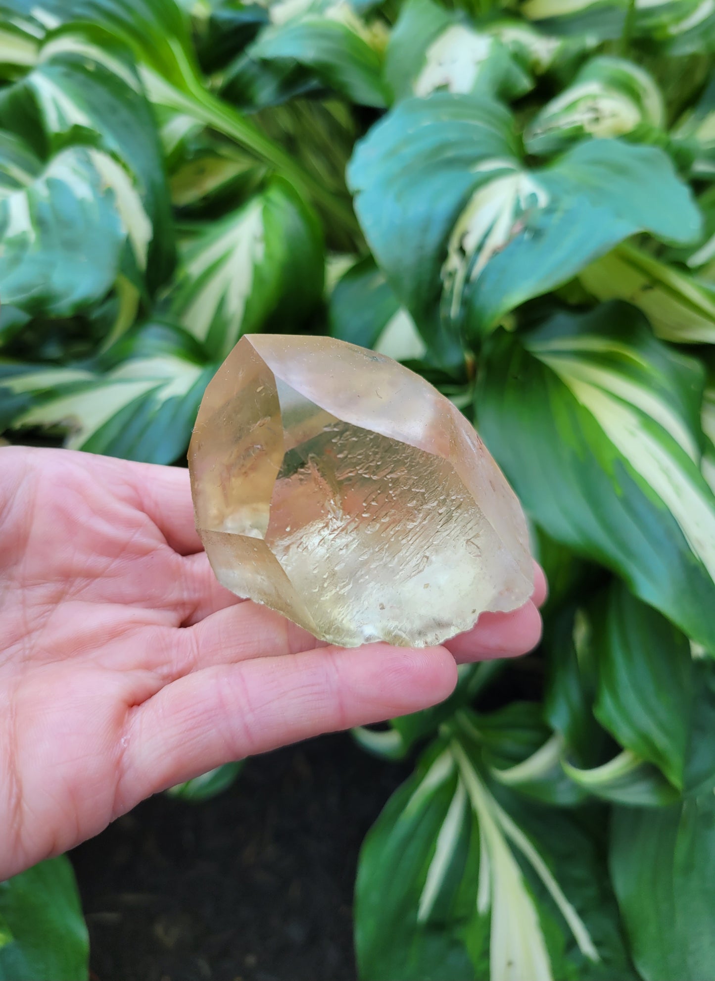 Citrine from Diamantina, Brazil