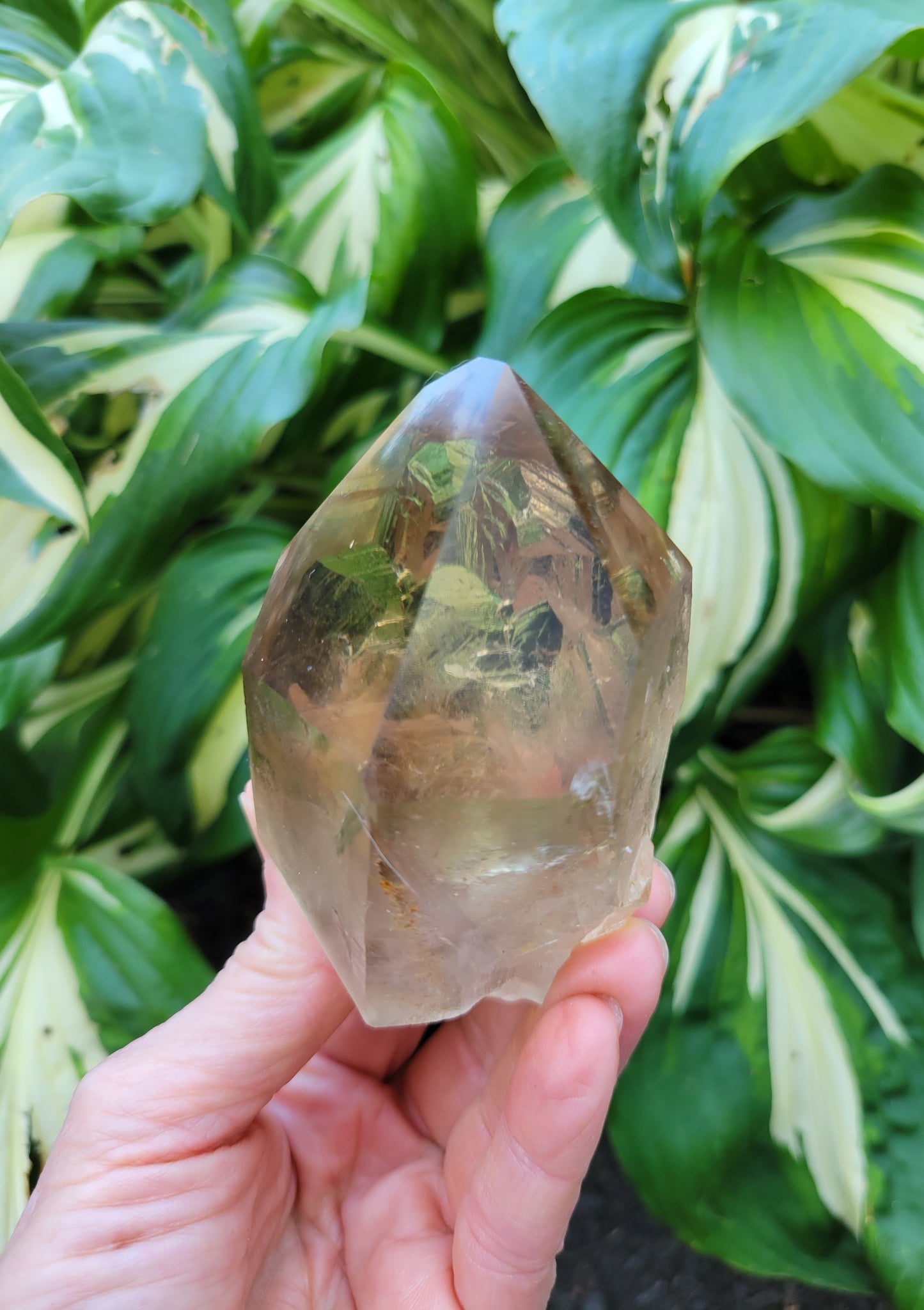Citrine from Diamantina, Brazil (W 2 1/4 X D 1 3/4 X L 3 1/2 inches, 280 grams)
