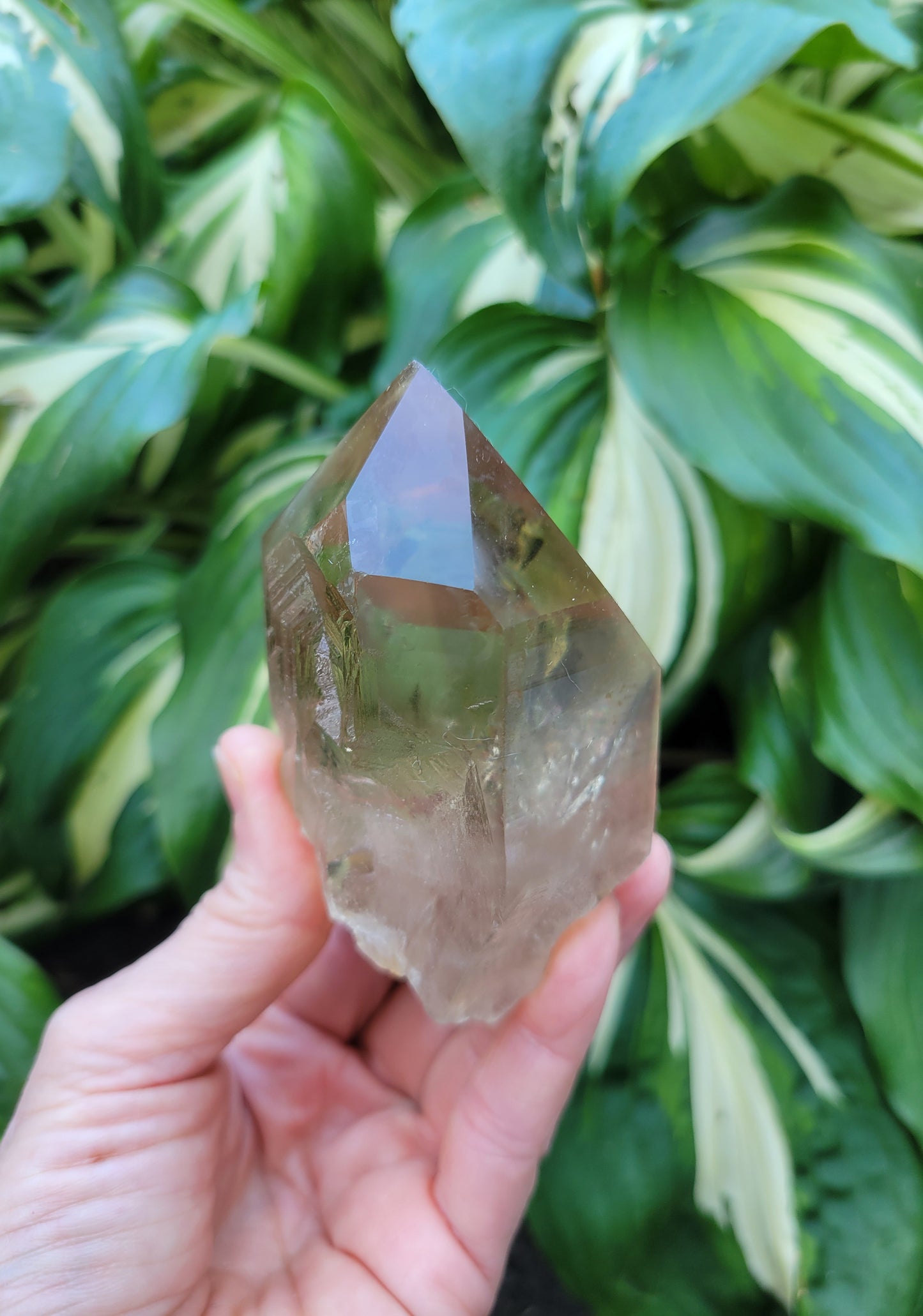 Citrine from Diamantina, Brazil (W 2 1/4 X D 1 3/4 X L 3 1/2 inches, 280 grams)