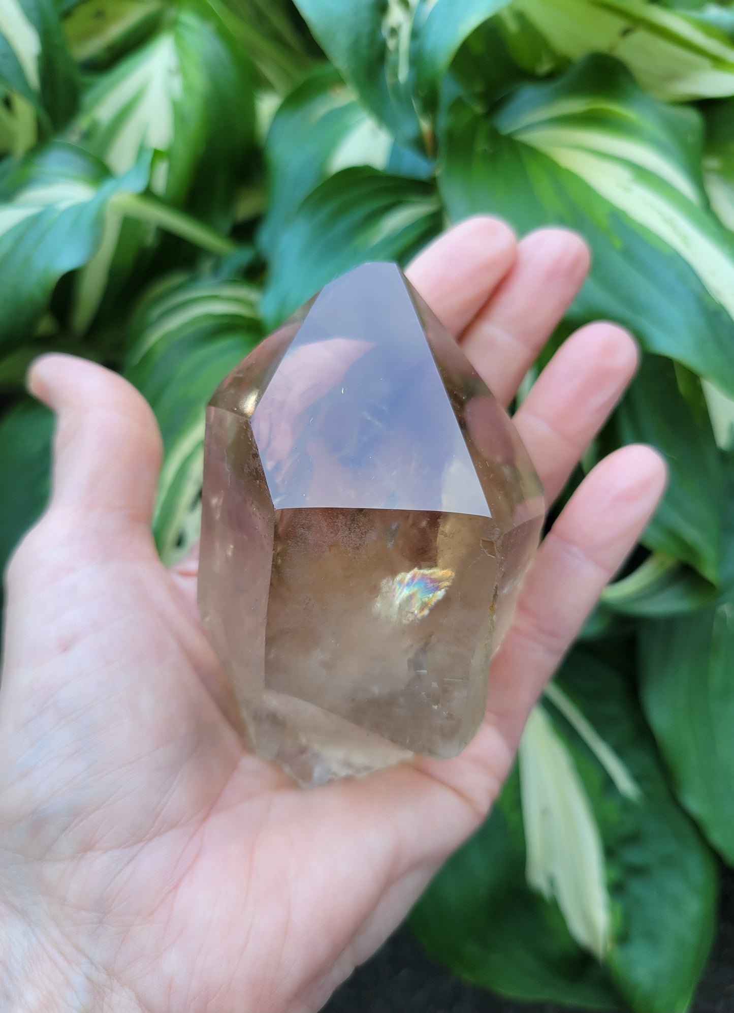 Citrine from Diamantina, Brazil (W 2 1/4 X D 1 3/4 X L 3 1/2 inches, 280 grams)