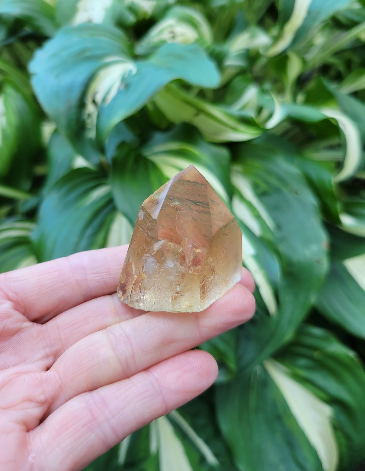 Citrine from Diamantina, Brazil