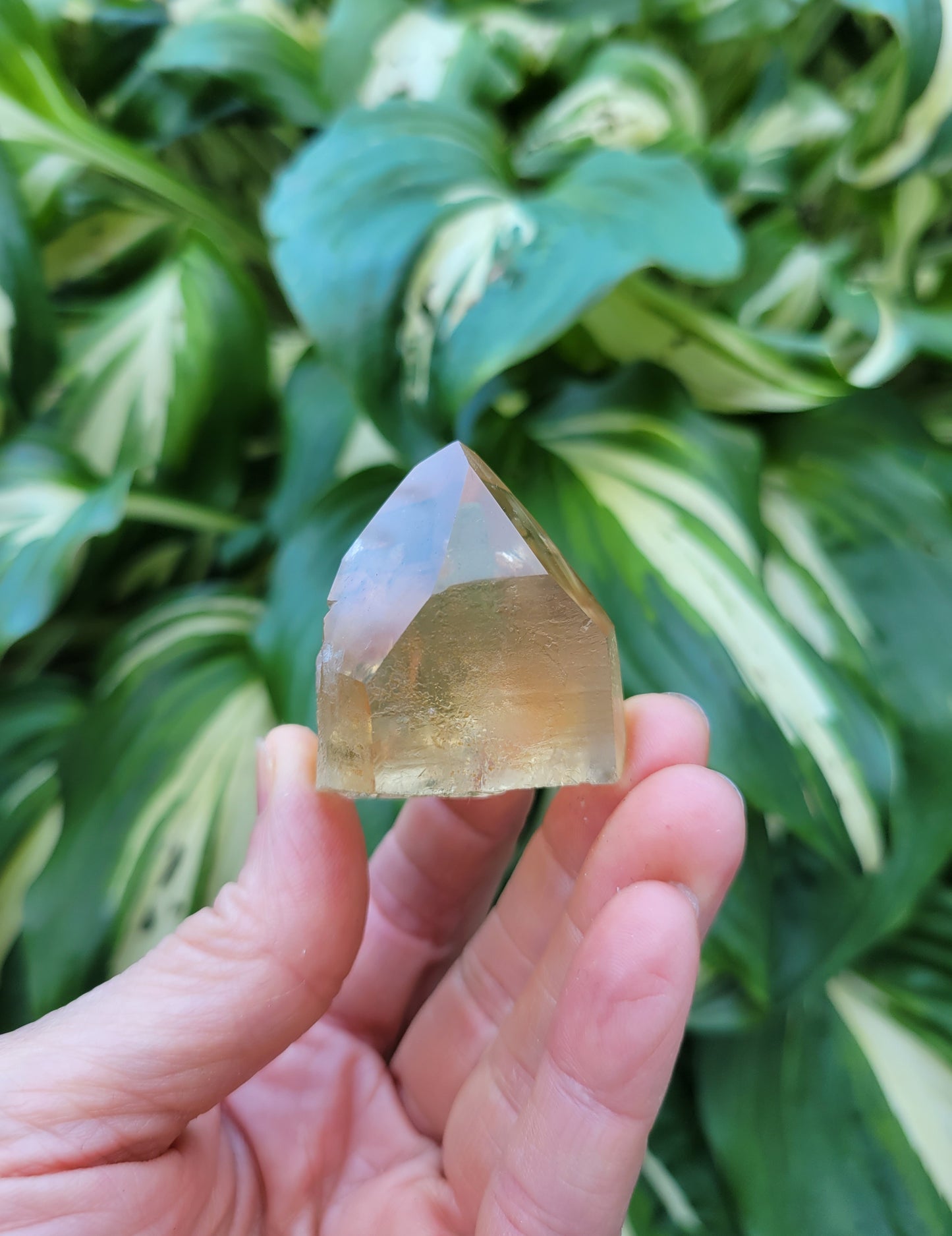 Citrine from Diamantina, Brazil