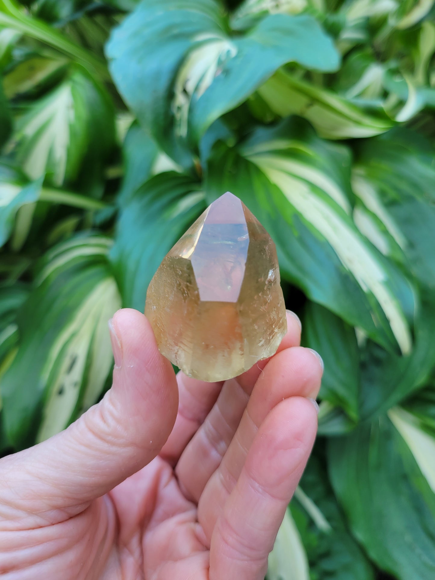 Citrine from Diamantina, Brazil