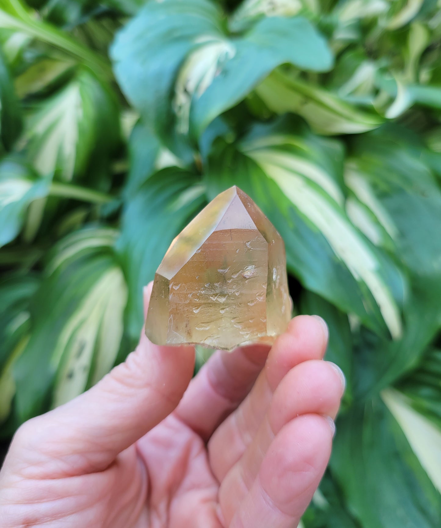 Citrine from Diamantina, Brazil