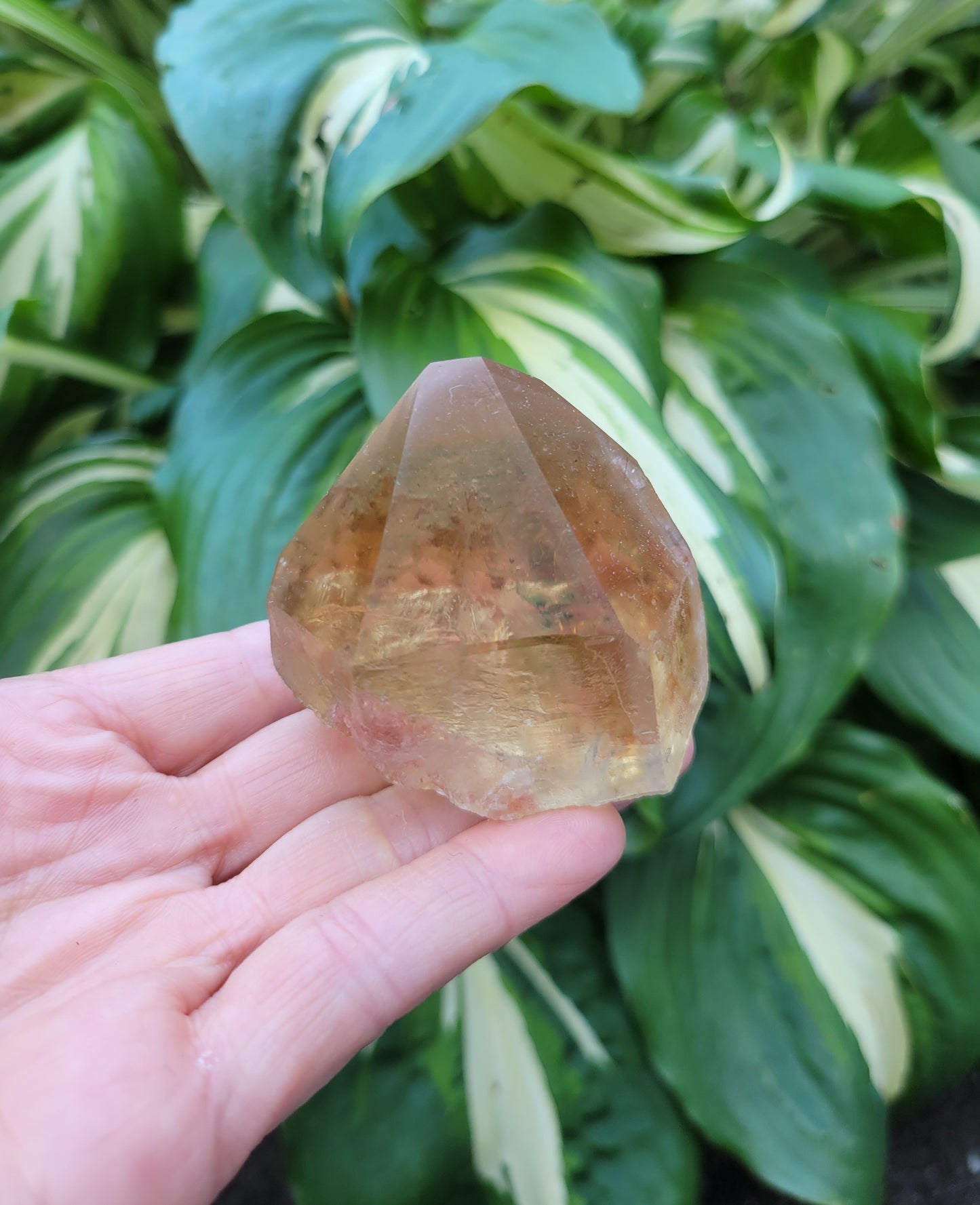 Citrine with Phantoms from Diamantina, Brazil