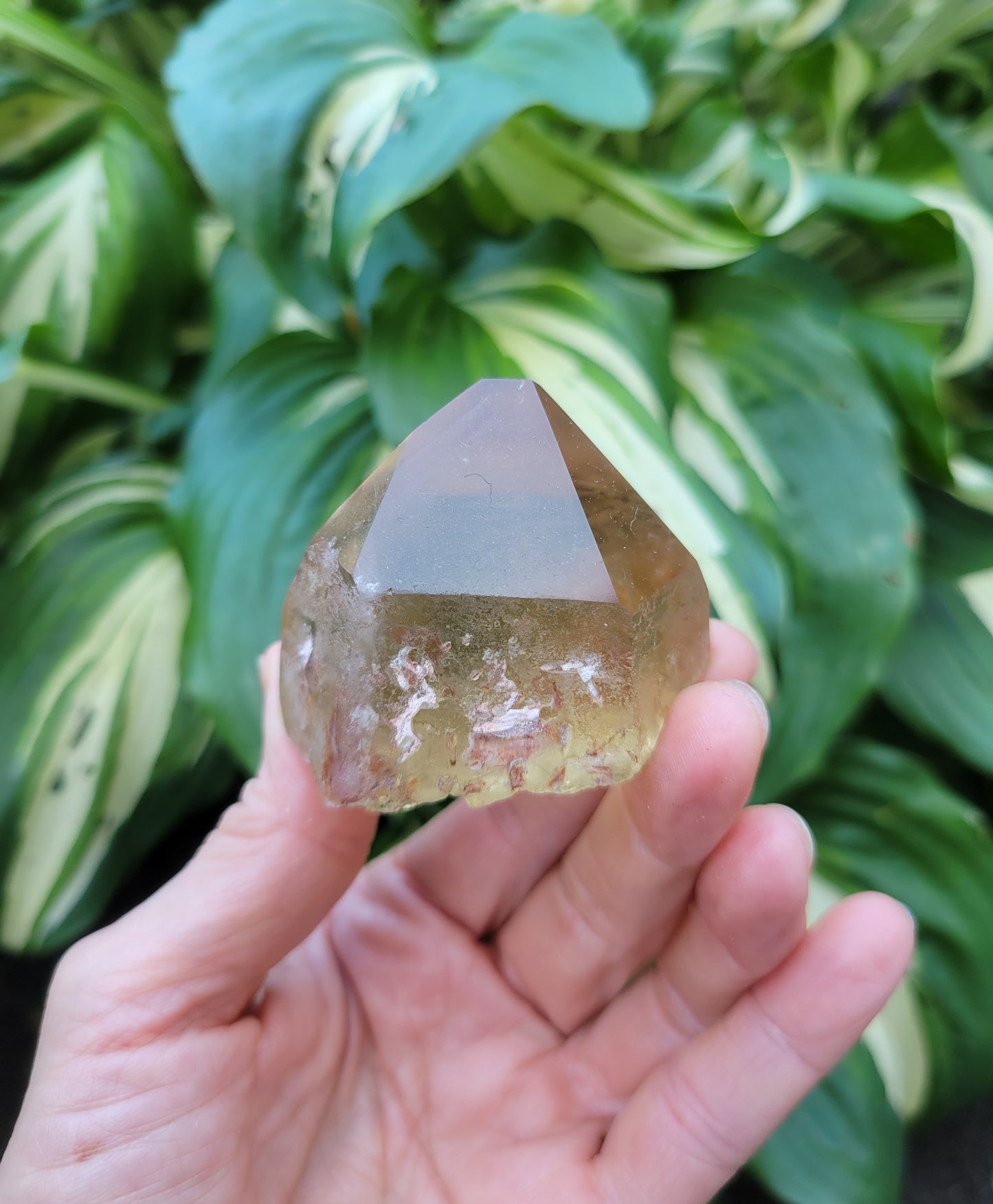 Citrine with Phantoms from Diamantina, Brazil