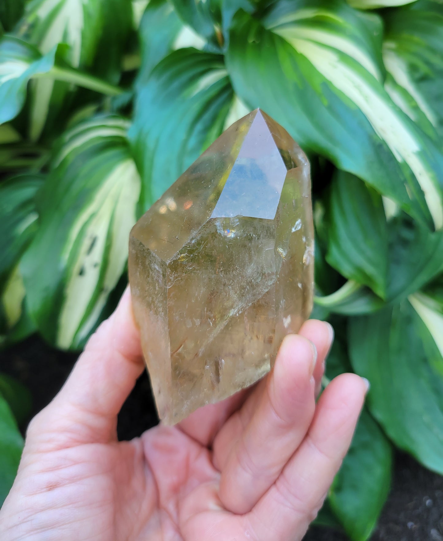 Citrine from Diamantina, Brazil (W 2 1/8 X D 1 7/8 X L 3 5/8 inches, 150 grams)