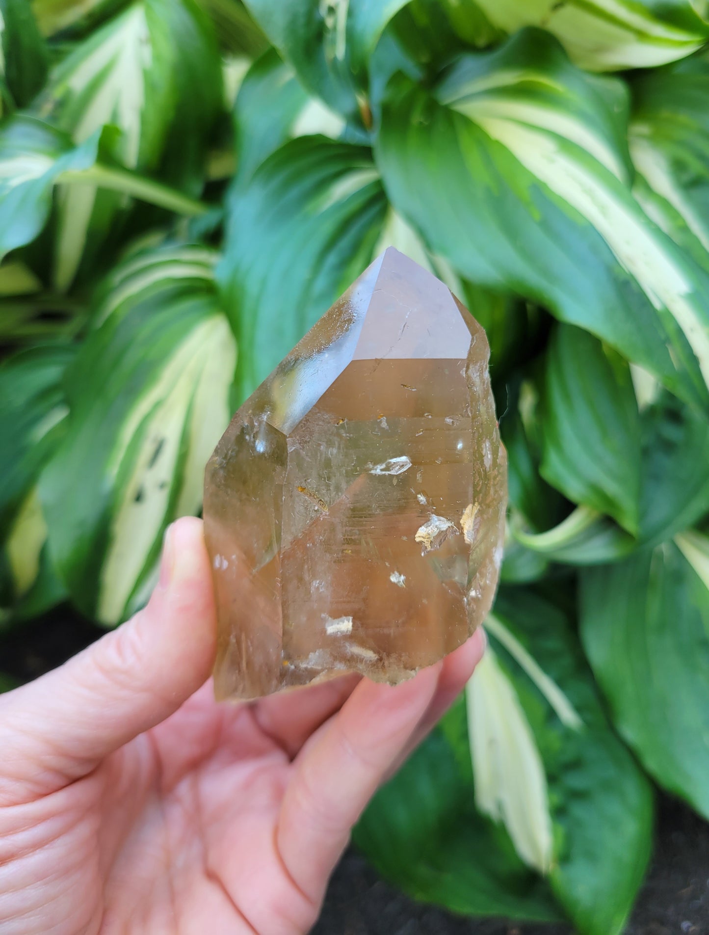 Citrine from Diamantina, Brazil (W 2 1/8 X D 1 7/8 X L 3 5/8 inches, 150 grams)