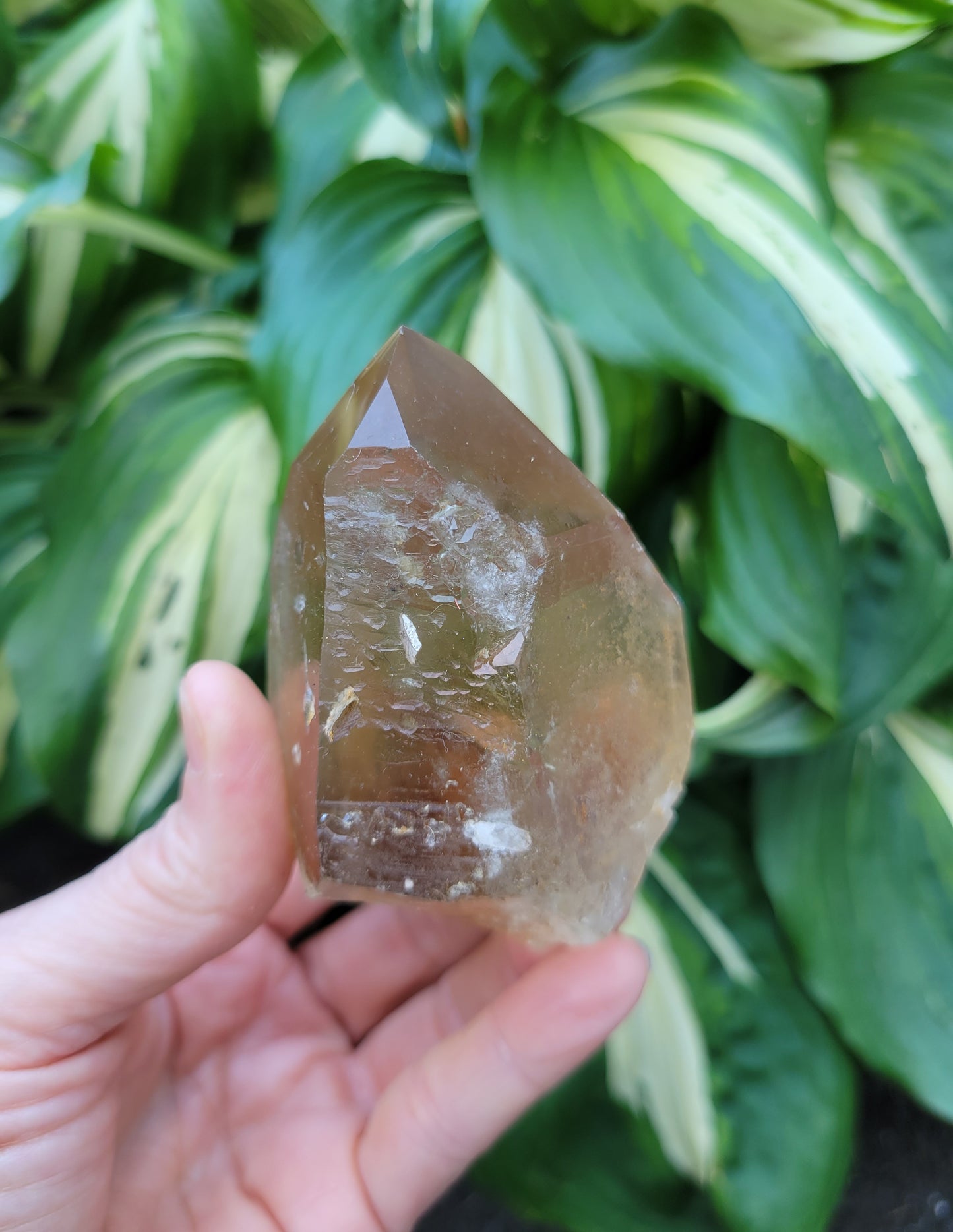 Citrine from Diamantina, Brazil (W 2 1/8 X D 1 7/8 X L 3 5/8 inches, 150 grams)