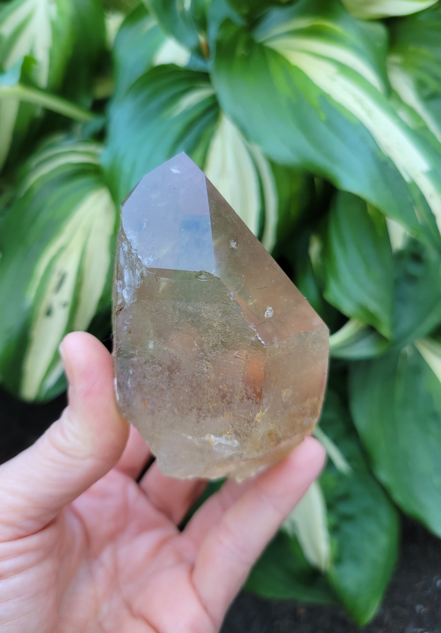 Citrine from Diamantina, Brazil (W 2 1/8 X D 1 7/8 X L 3 5/8 inches, 150 grams)