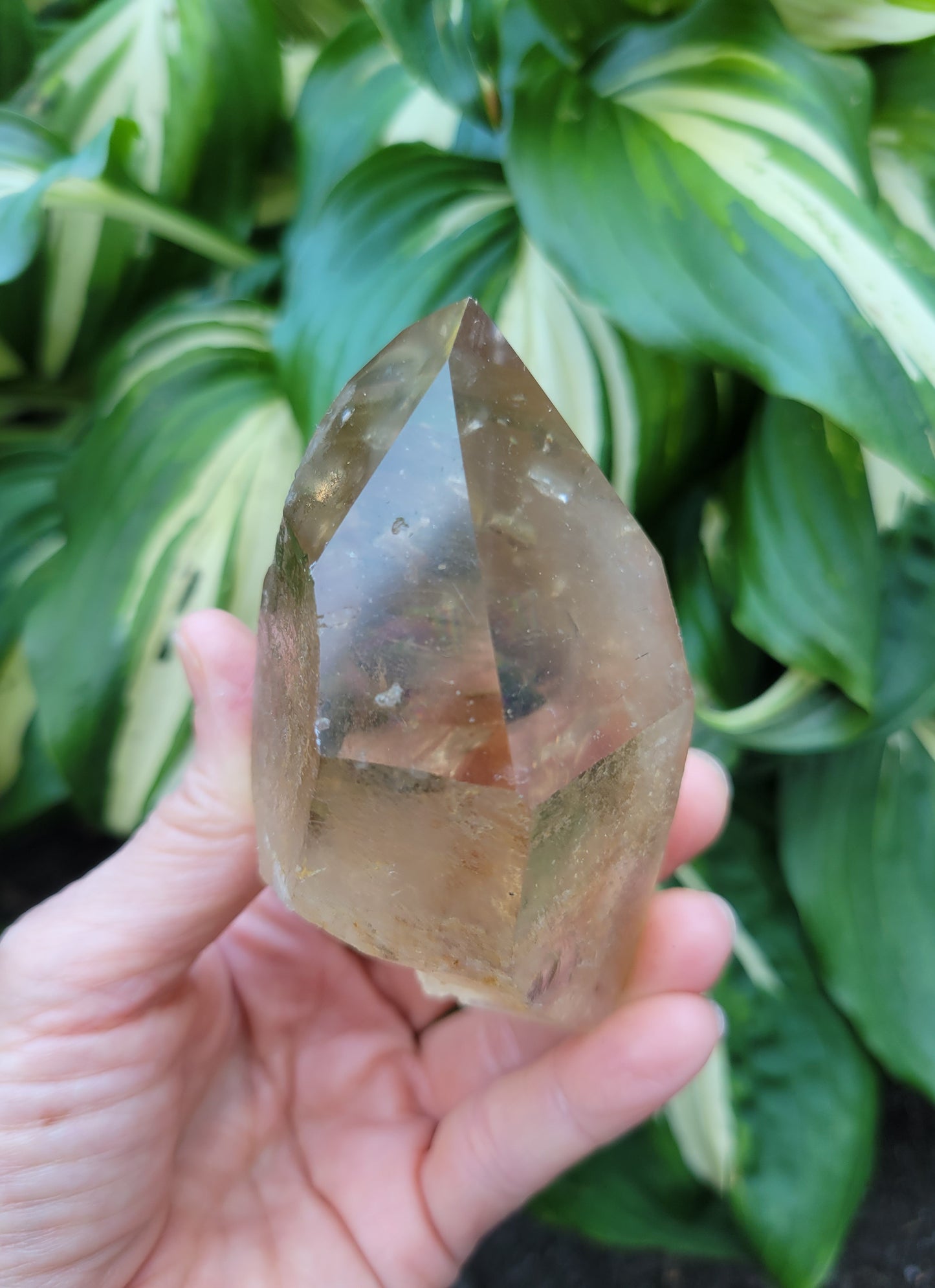 Citrine from Diamantina, Brazil (W 2 1/8 X D 1 7/8 X L 3 5/8 inches, 150 grams)