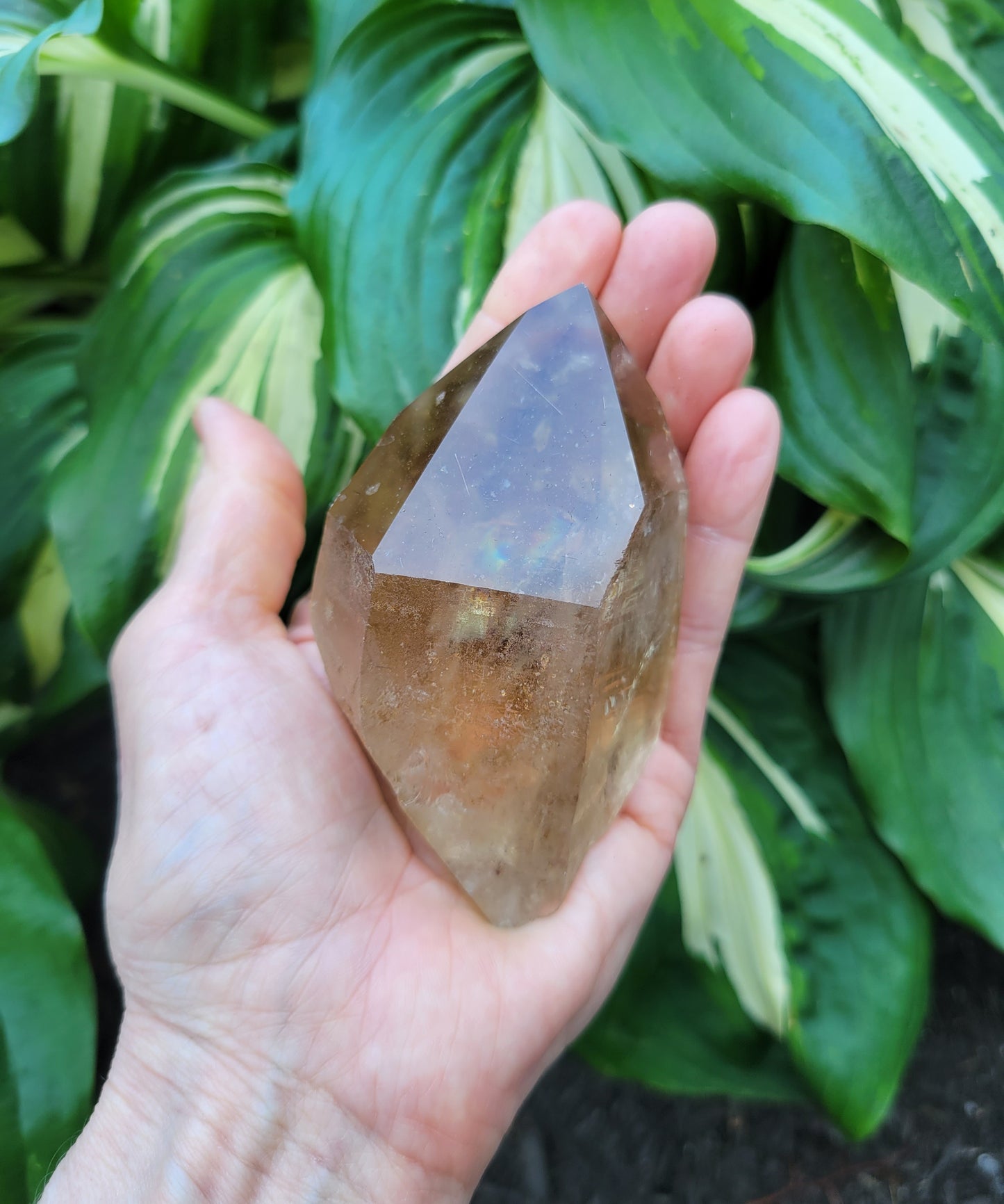 Citrine from Diamantina, Brazil (W 2 1/8 X D 1 7/8 X L 3 5/8 inches, 150 grams)