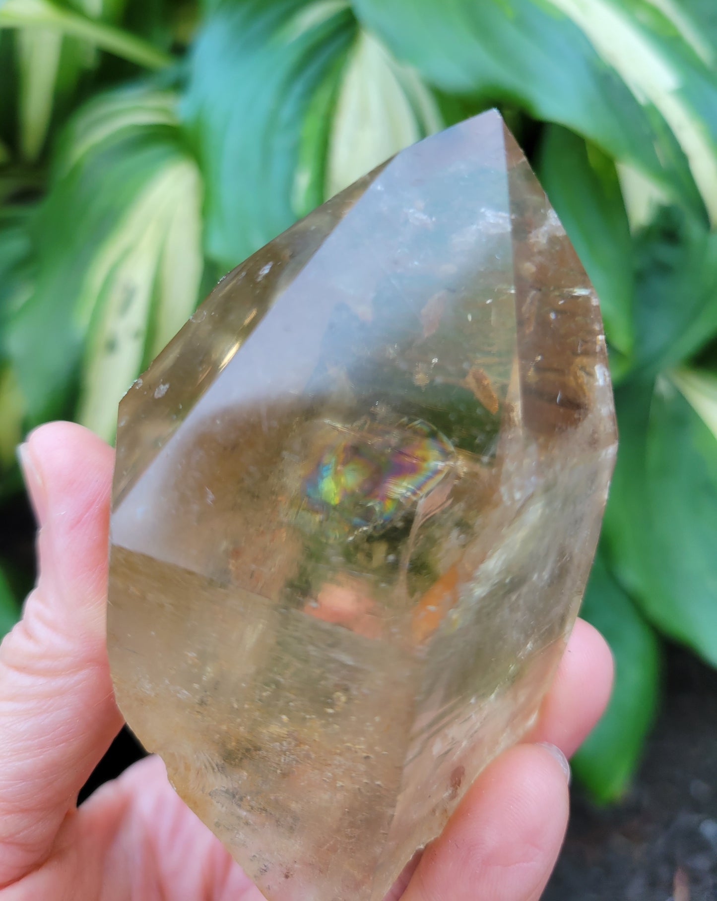 Citrine from Diamantina, Brazil (W 2 1/8 X D 1 7/8 X L 3 5/8 inches, 150 grams)