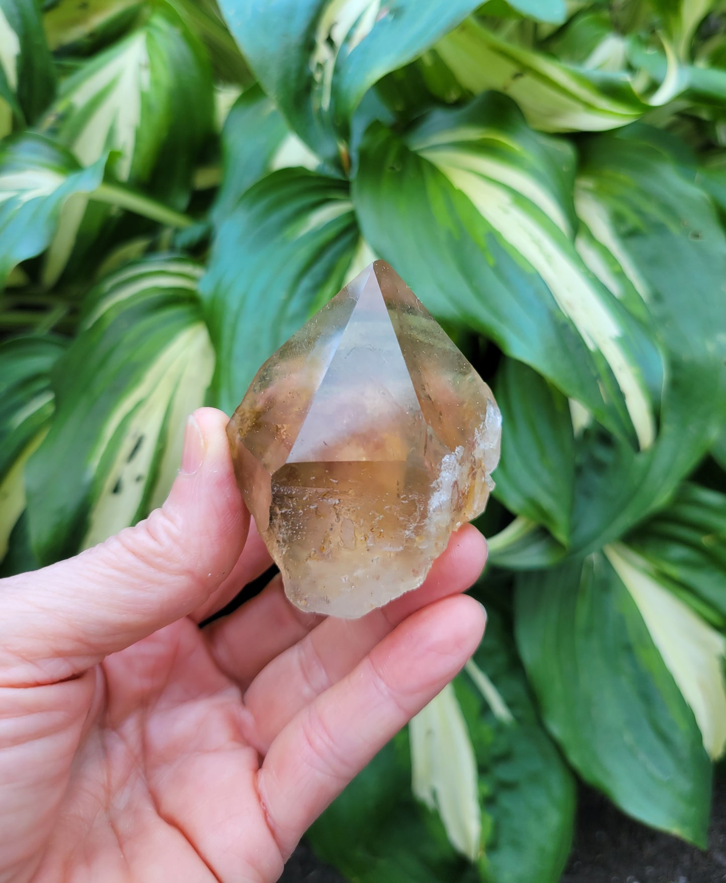 Citrine from Diamantina, Brazil (W 2 1/8 X D 1 3/4 X H 1 3/8 inches, 115 grams)