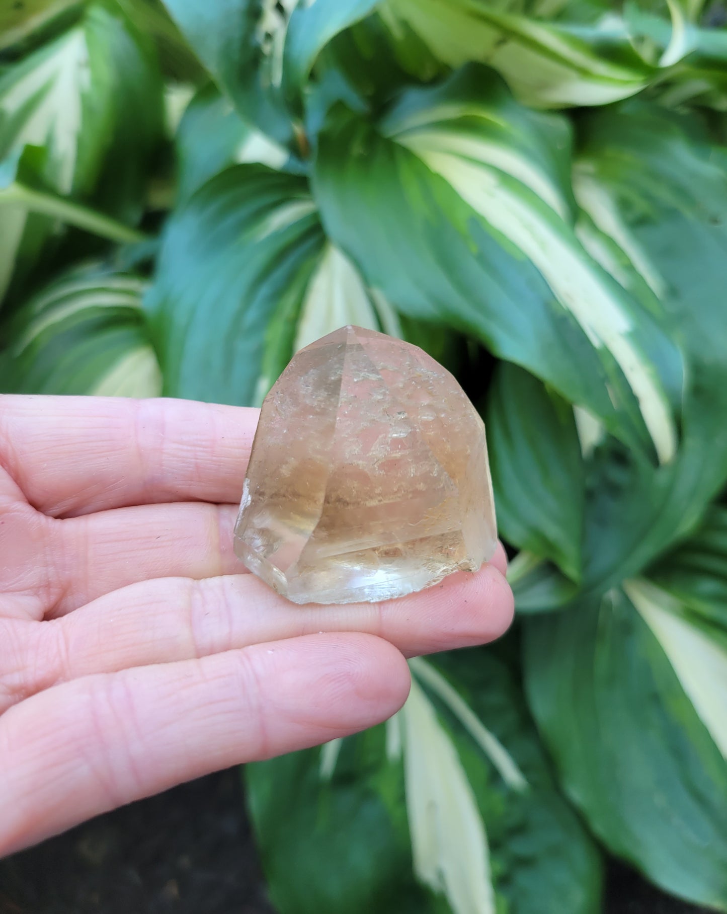 Citrine from Diamantina, Brazil (W 1 1/2 X D 7/8 X H 1 1/4 inches, 35 grams)