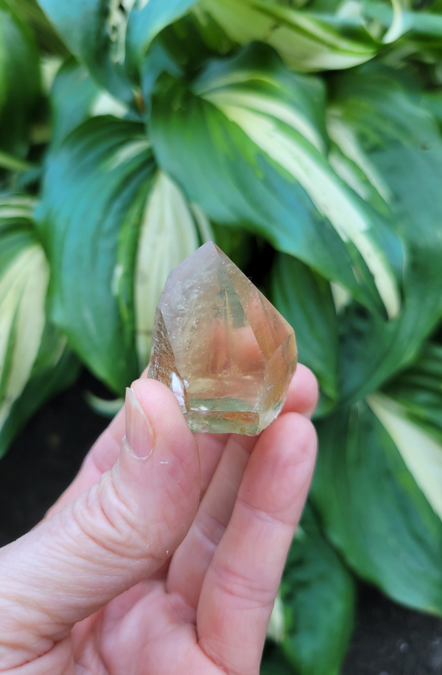 Citrine from Diamantina, Brazil (W 1 1/2 X D 7/8 X H 1 1/4 inches, 35 grams)