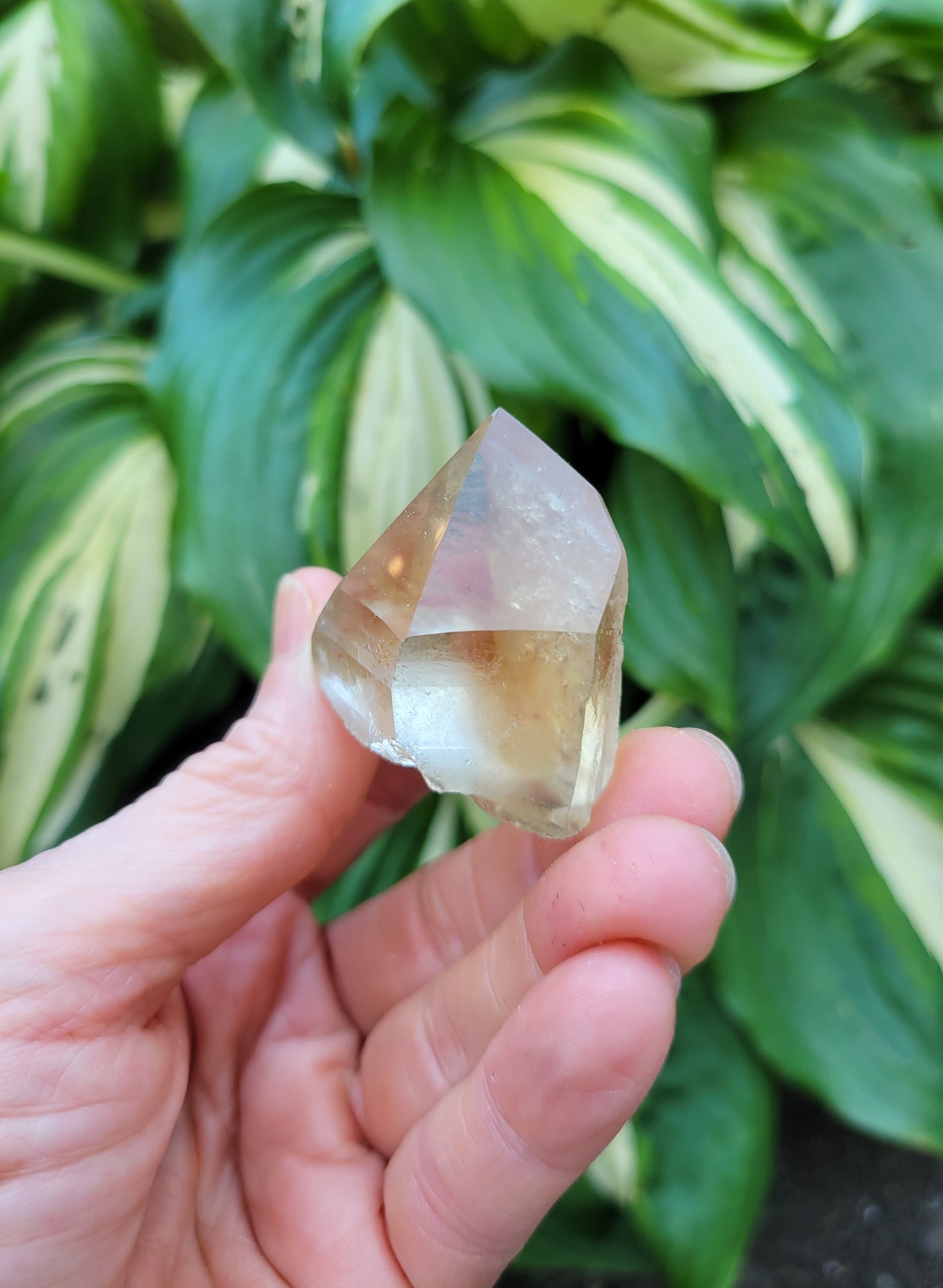 Citrine from Diamantina, Brazil