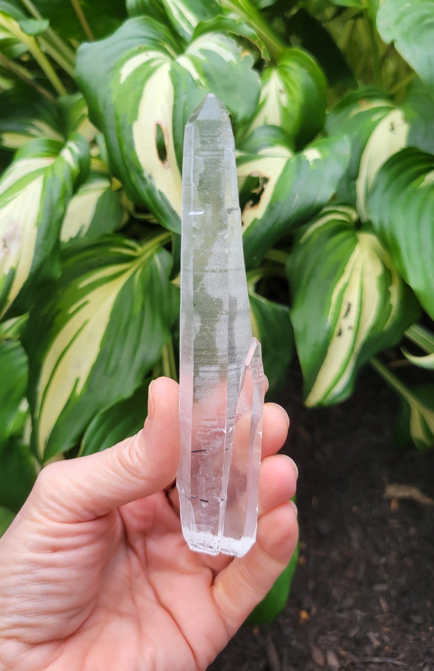 Tourmalinated Laser Quartz from Brazil (W 1 X D 5/8 X L 5 1/8 inches)